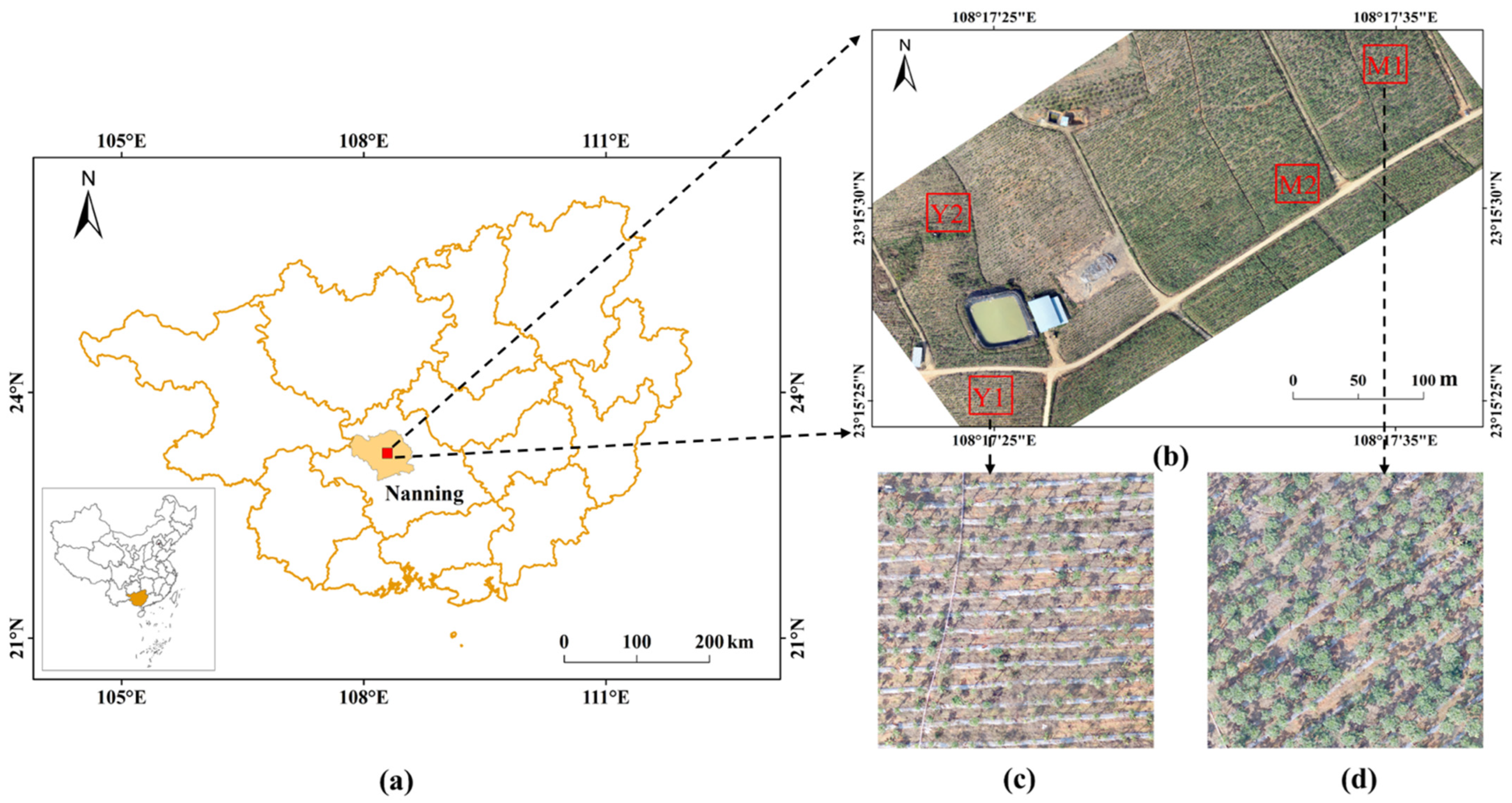 Agronomy 14 00636 g001