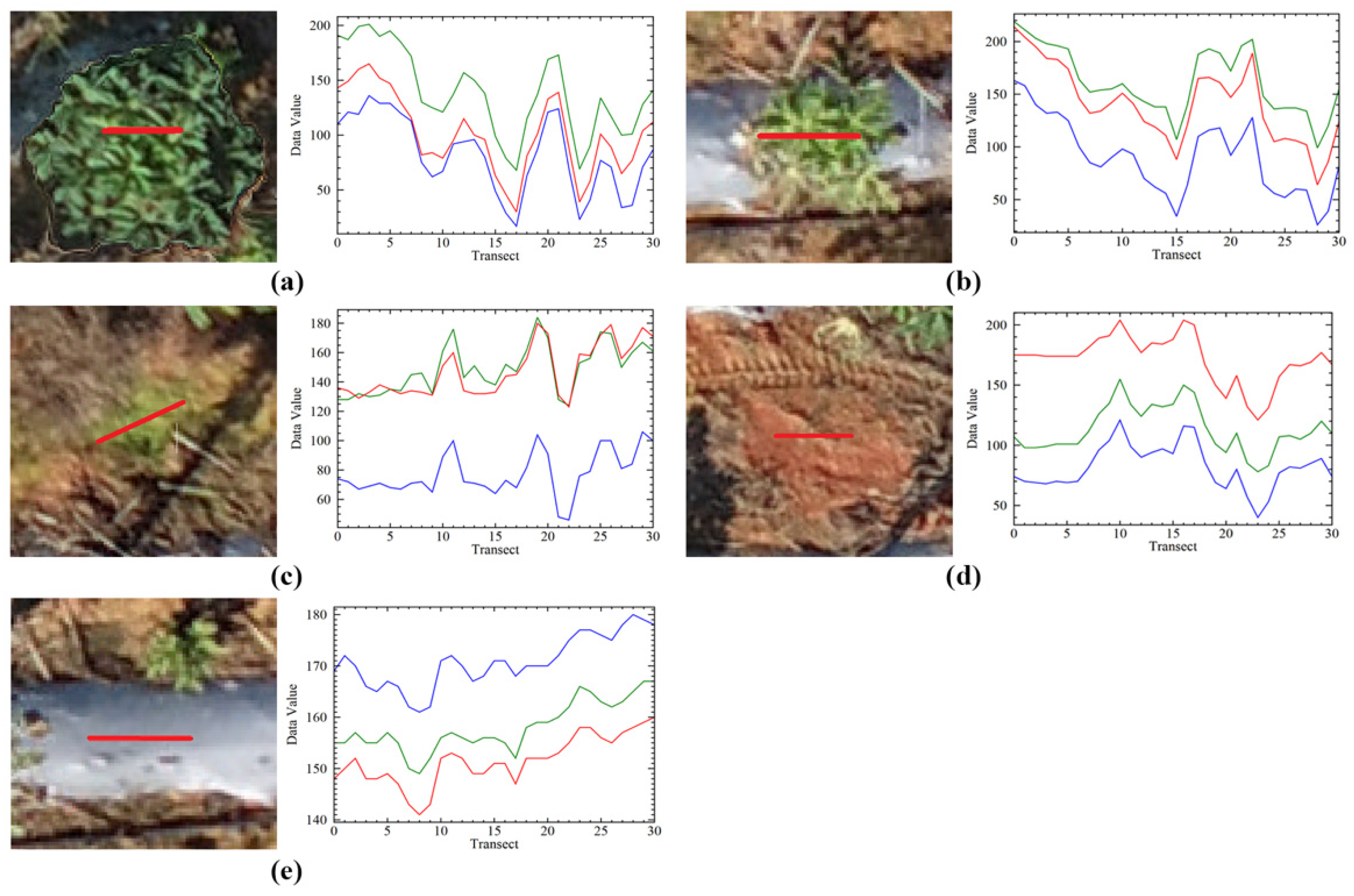 Agronomy 14 00636 g003