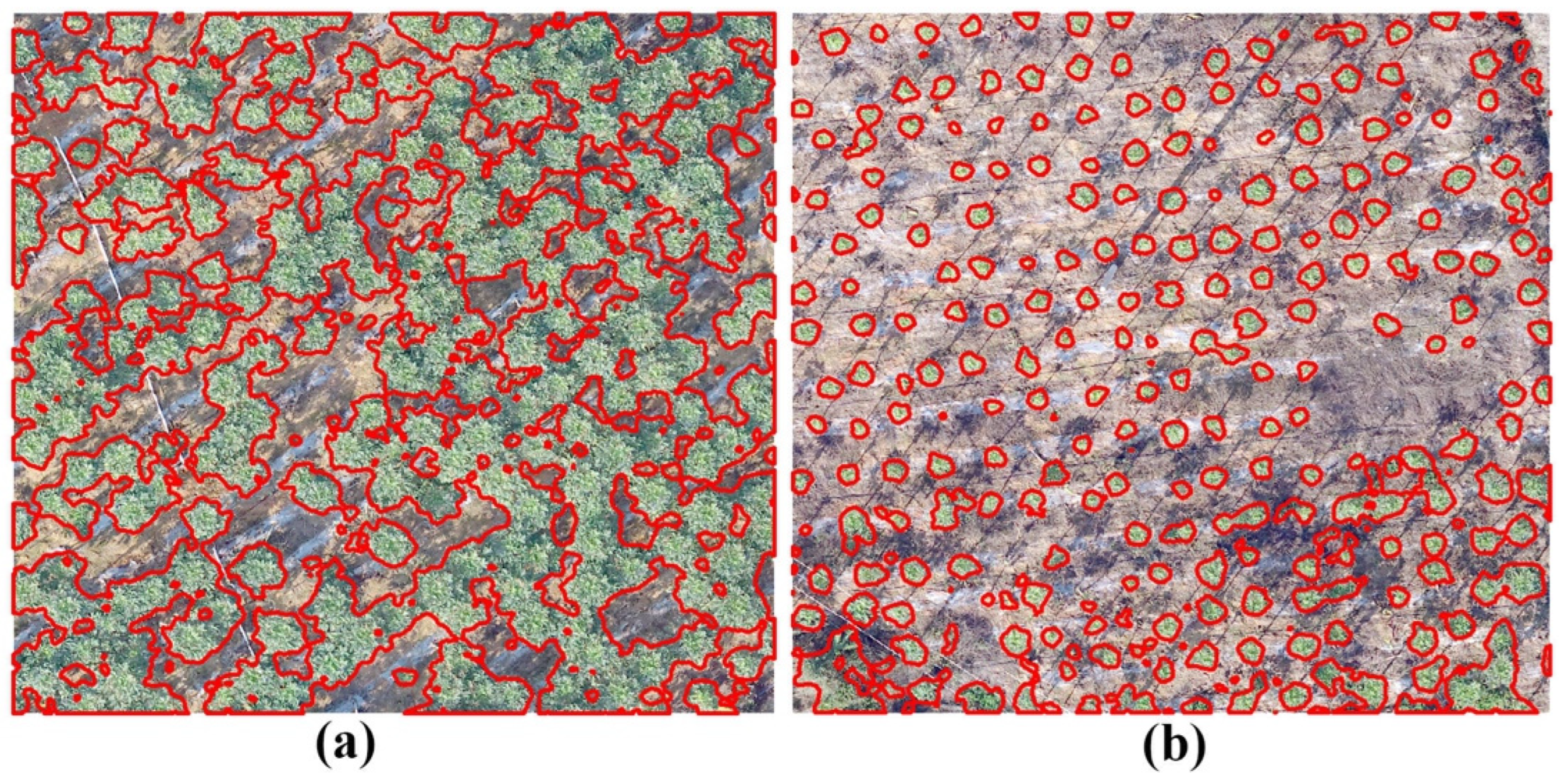 Agronomy 14 00636 g012