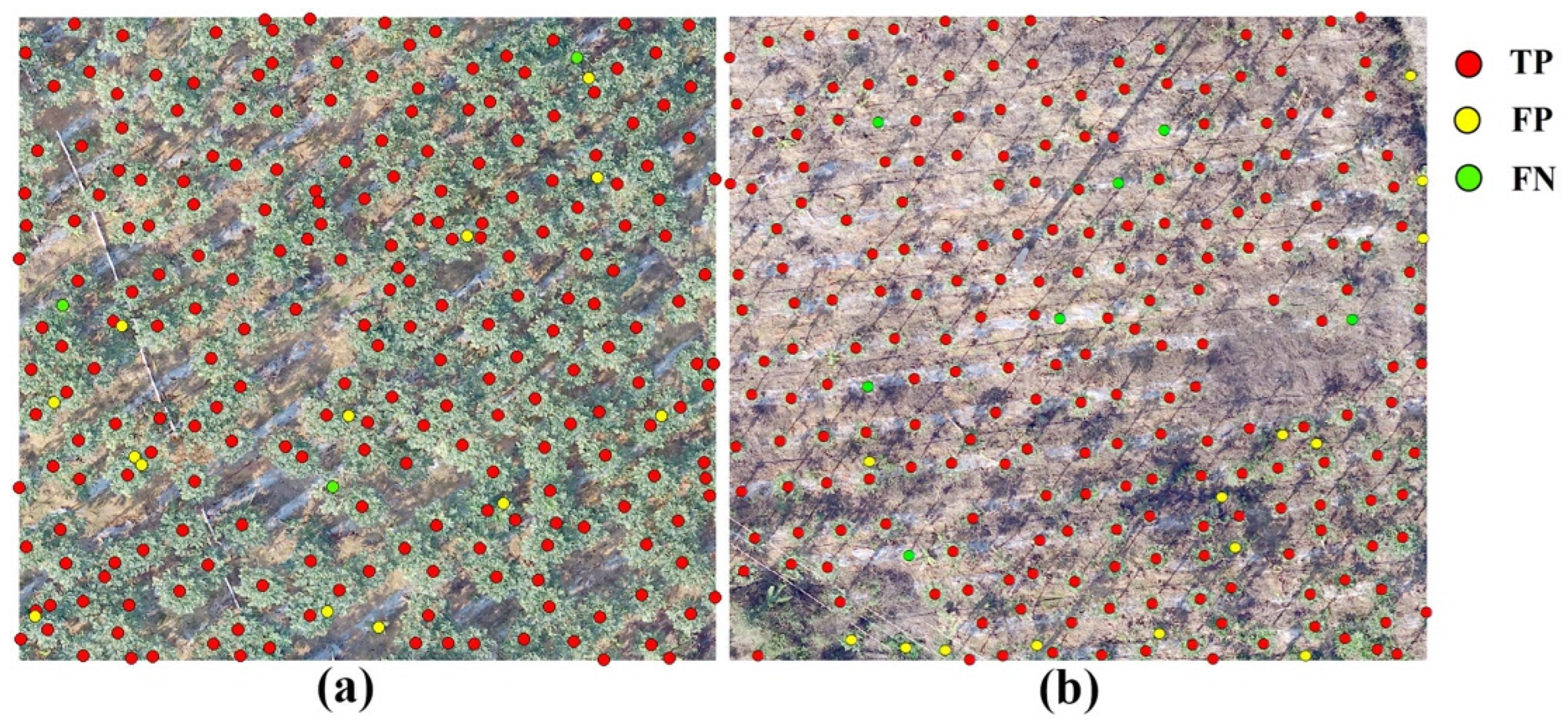 Agronomy 14 00636 g014