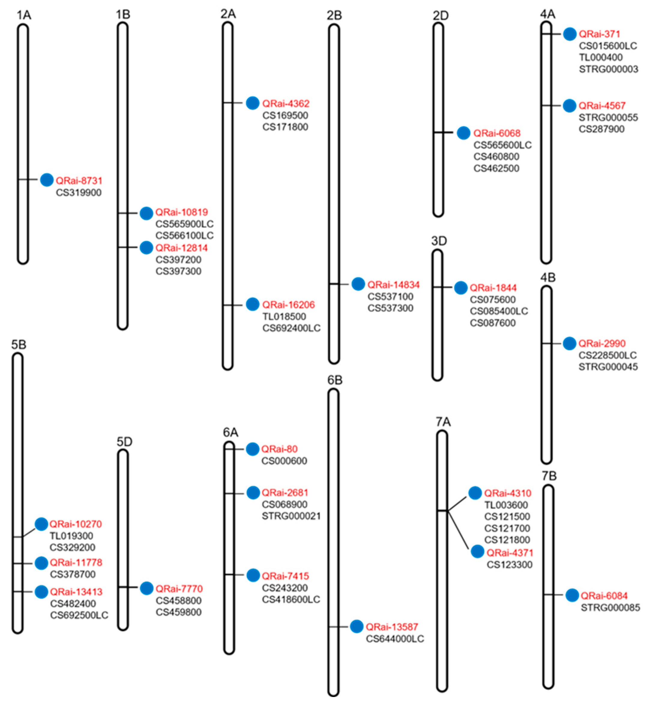 Agronomy 14 00637 g001 Agronomy 14 00637 g001
