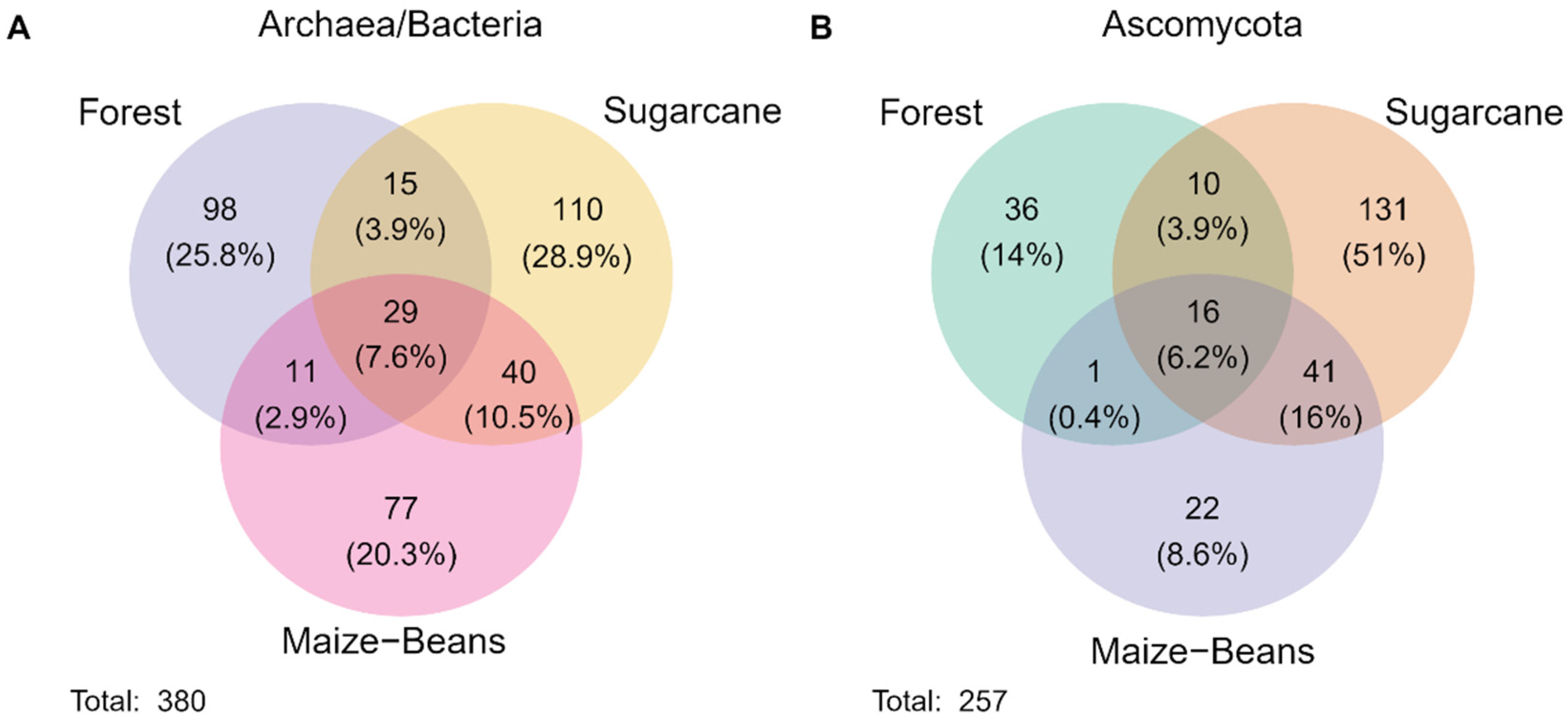 Agronomy 14 00646 g001