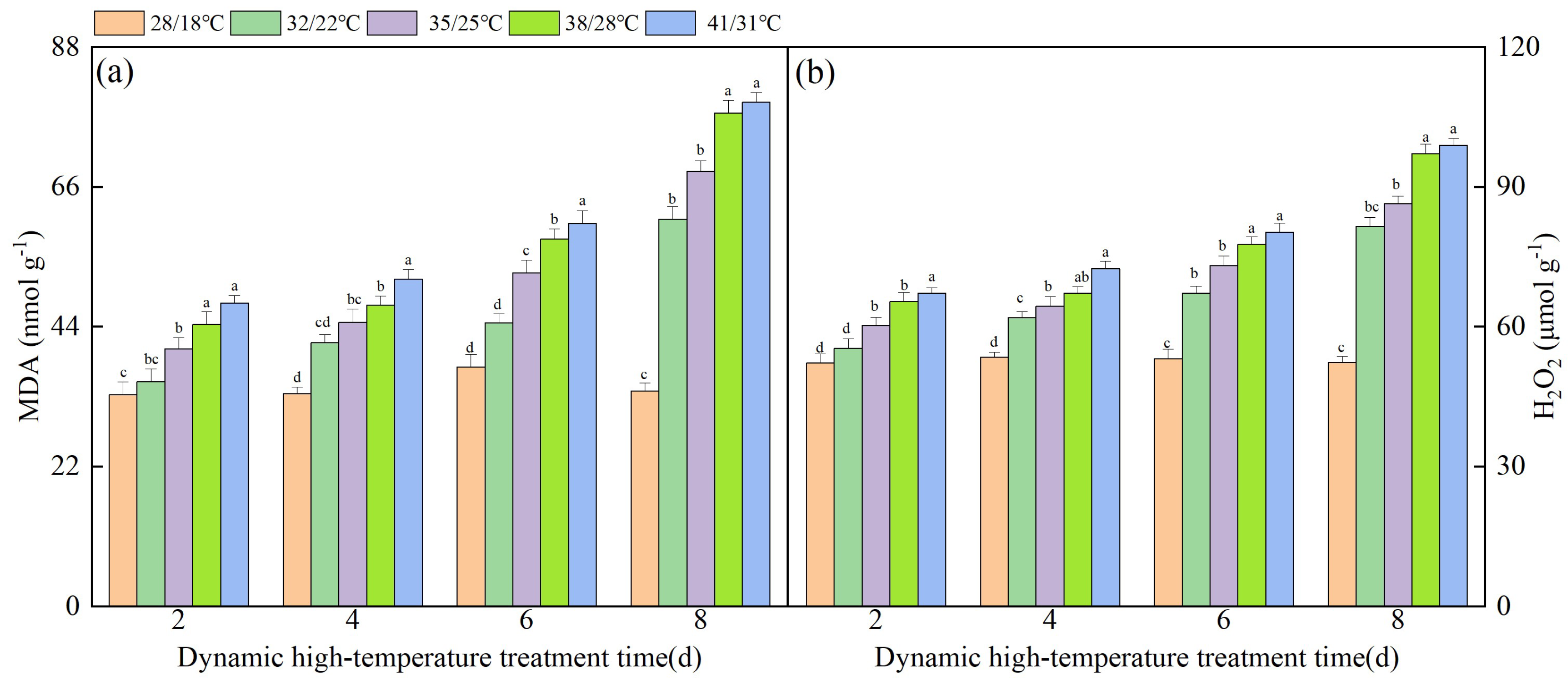 Agronomy 14 00648 g004