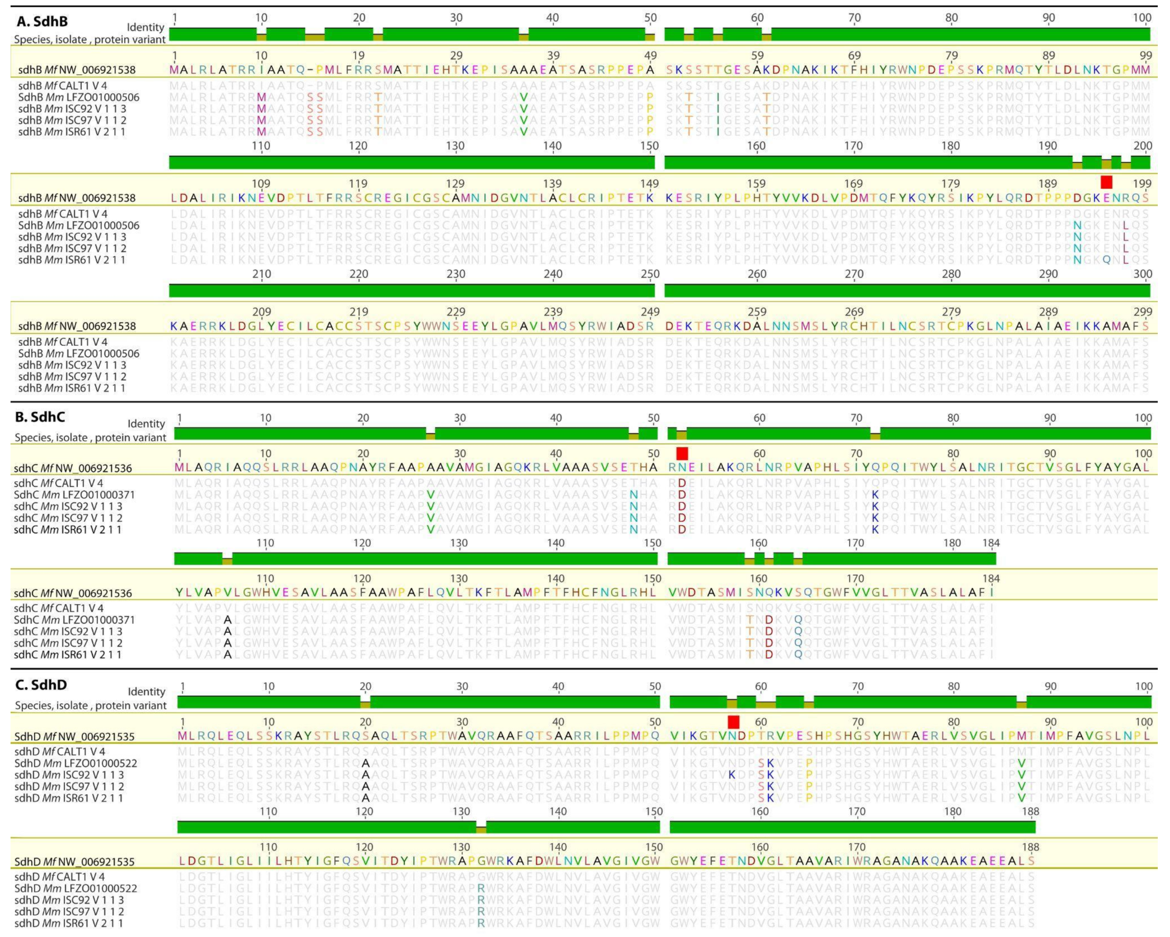 Agronomy 14 00666 g004