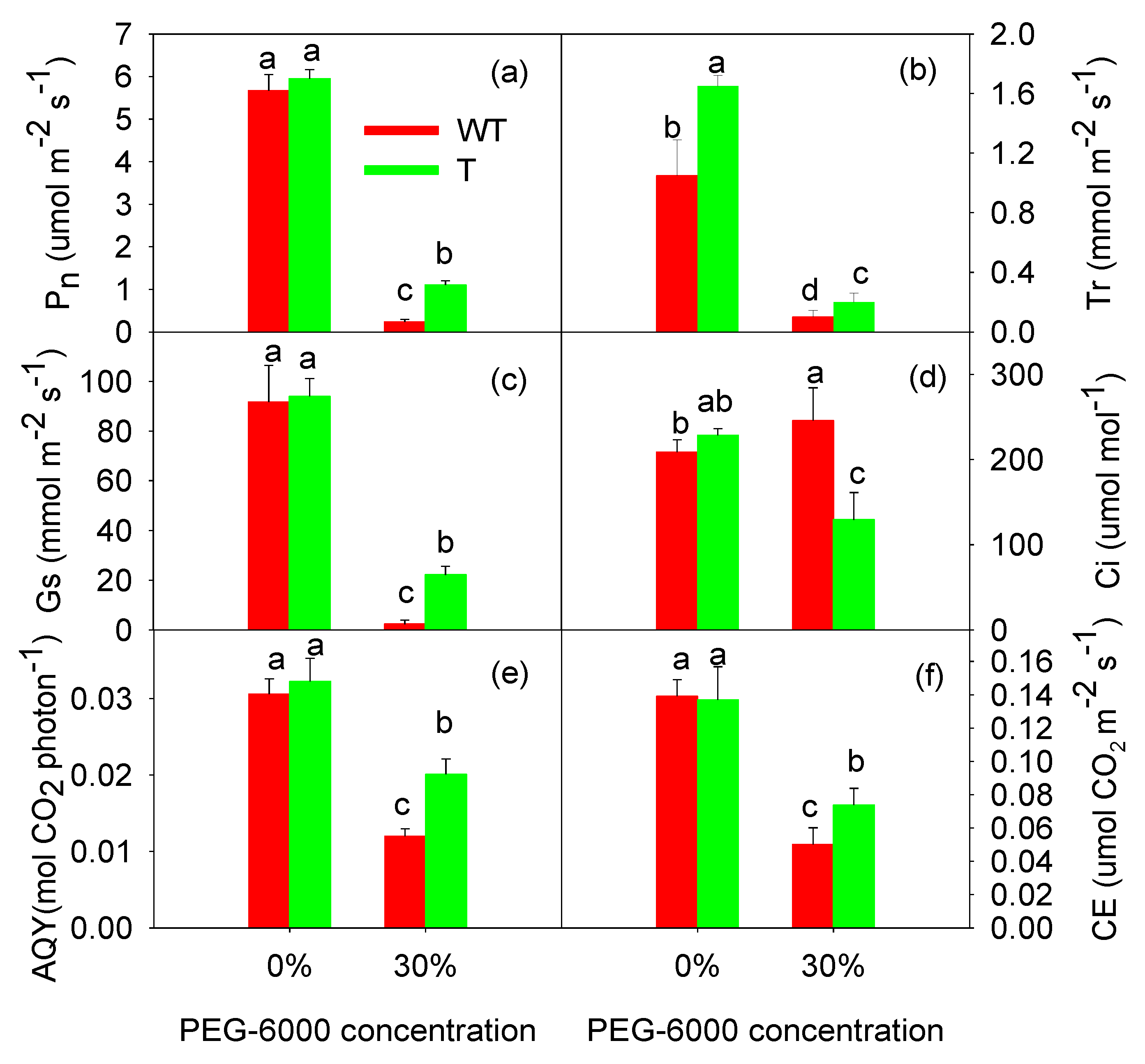 Agronomy 14 00690 g002