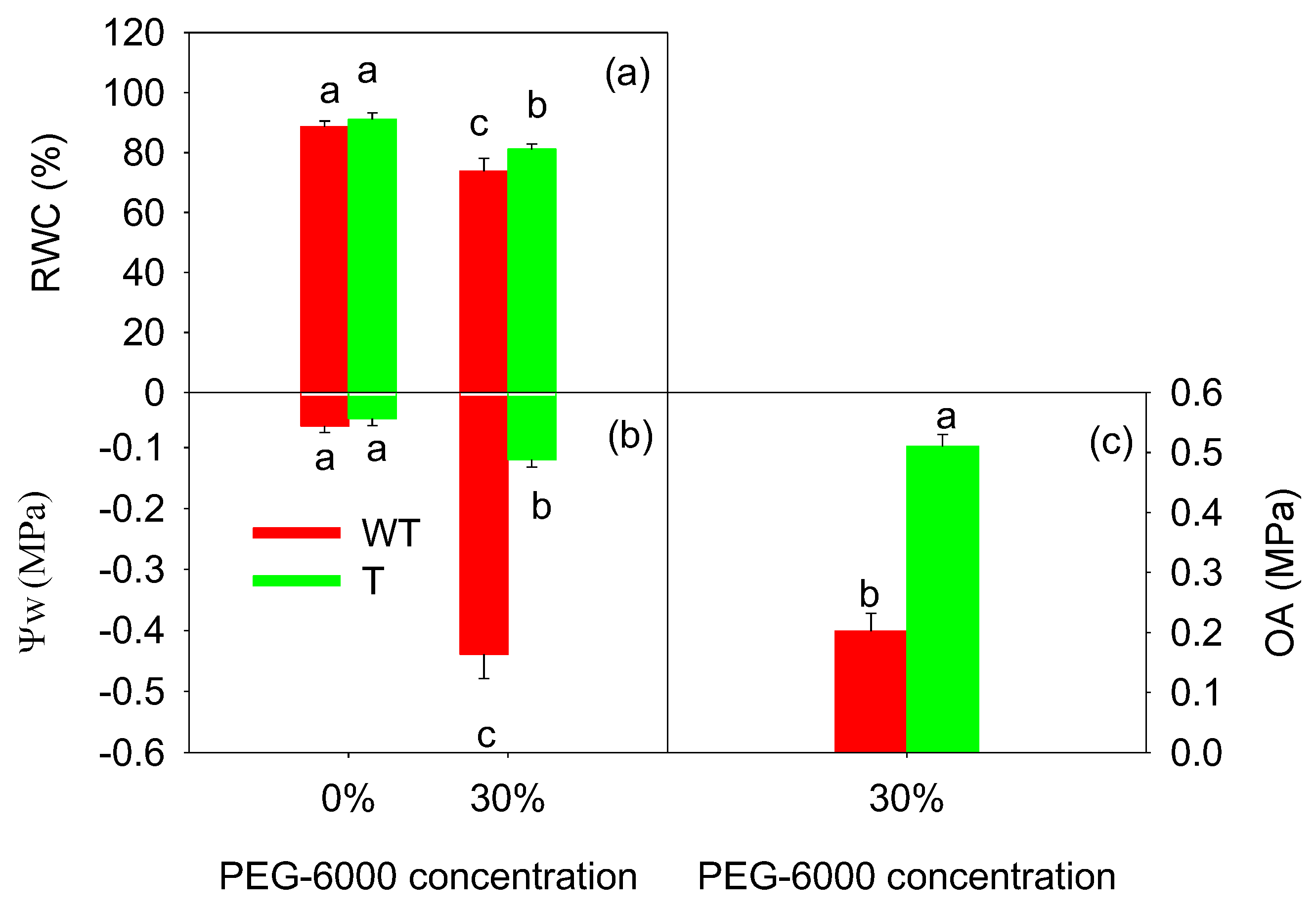 Agronomy 14 00690 g004