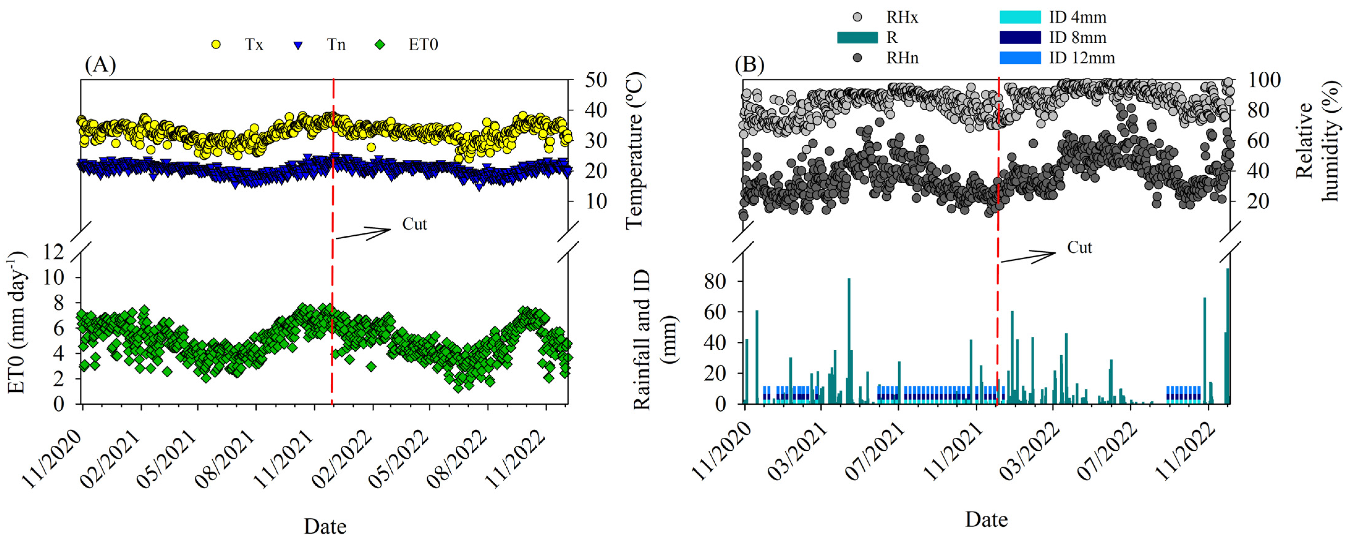Agronomy 14 00691 g001