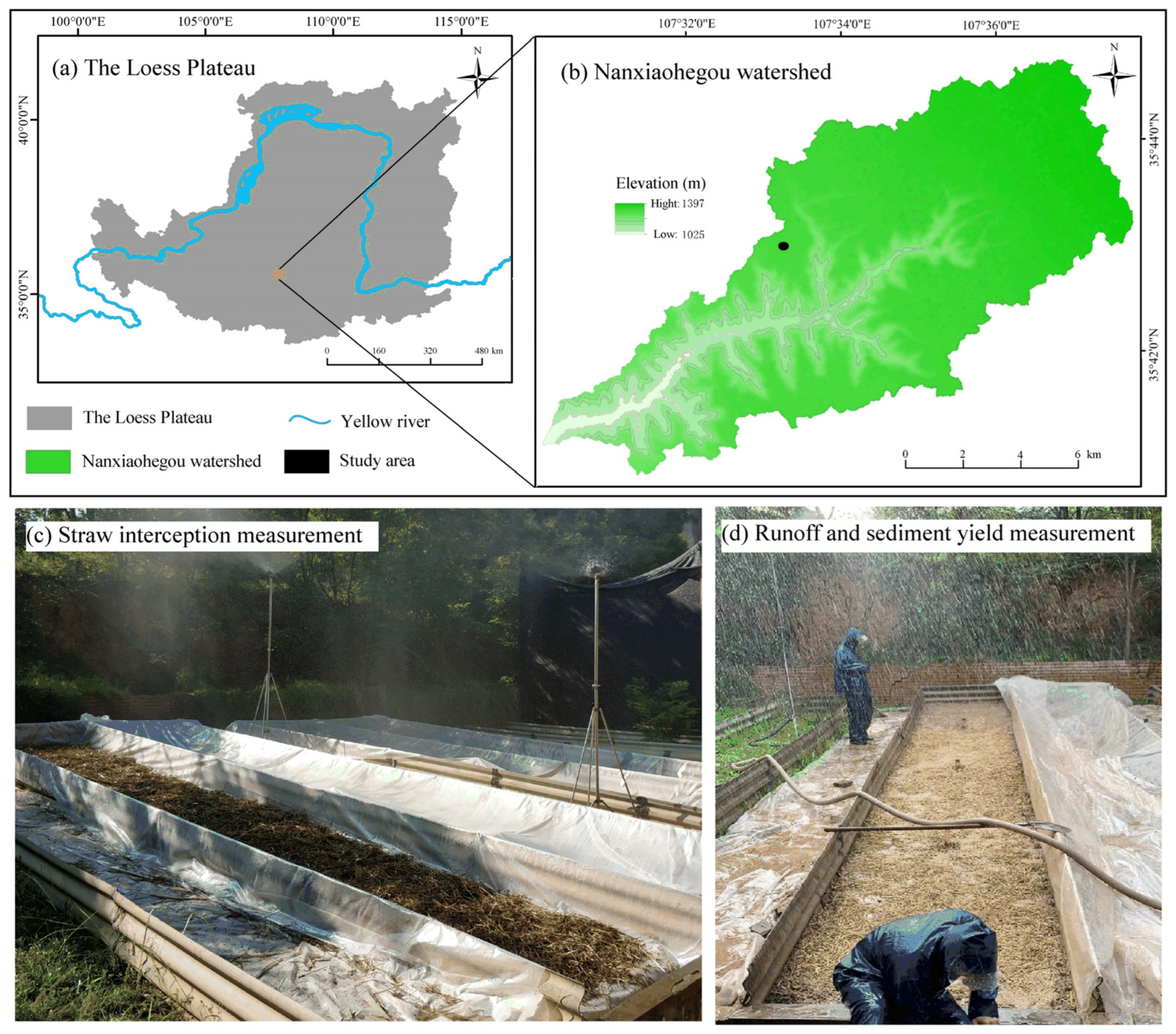 Agronomy 14 00696 g001