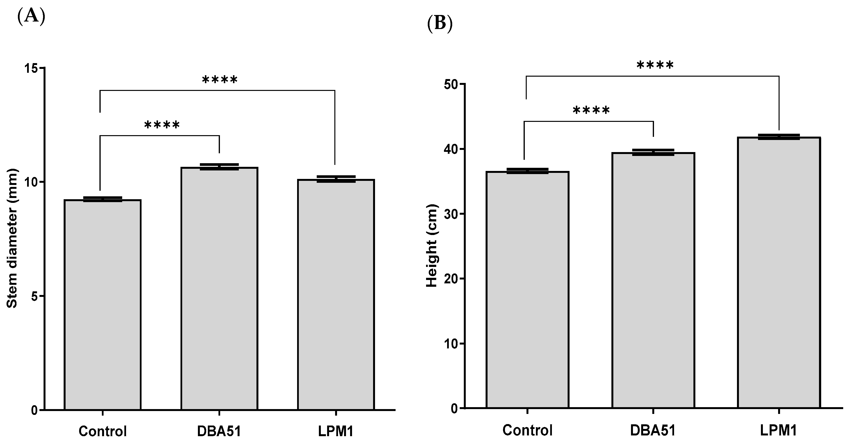 Agronomy 14 00702 g001