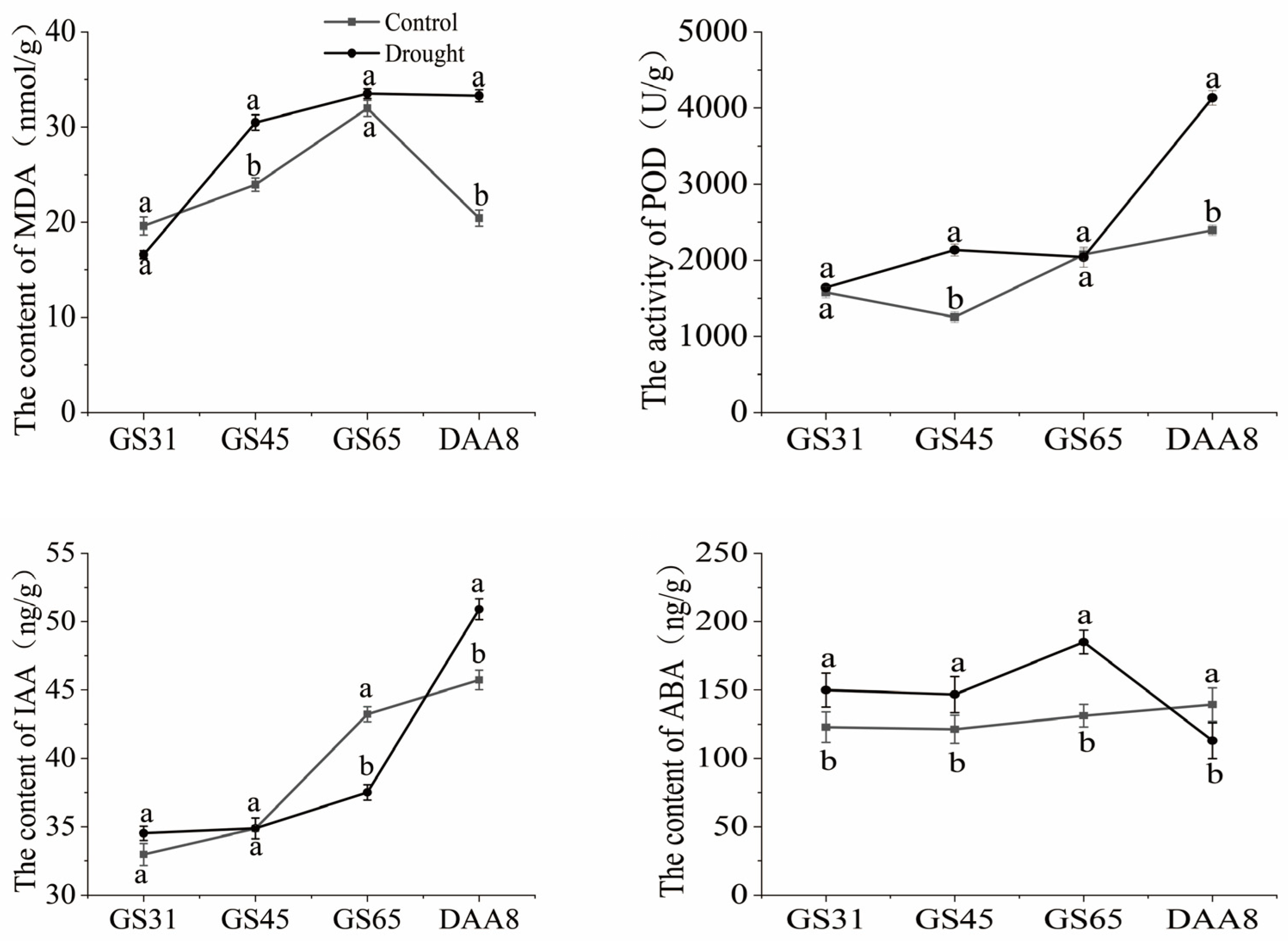 Agronomy 14 00704 g001
