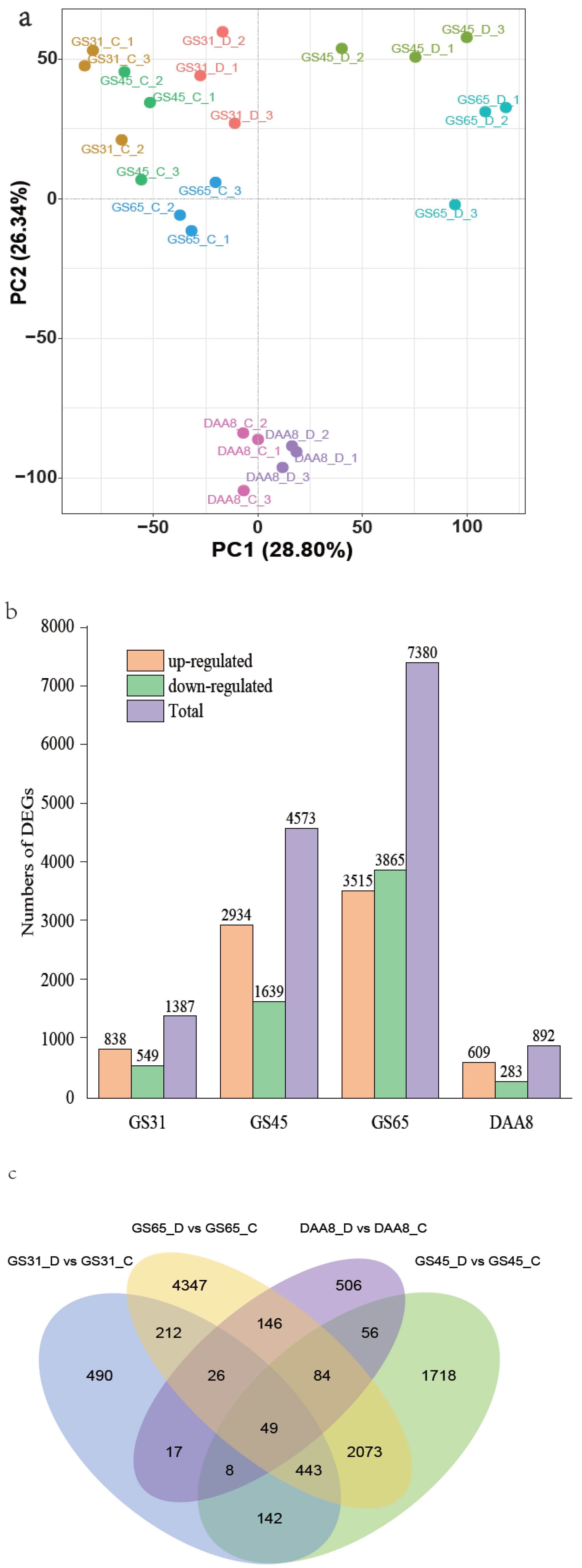 Agronomy 14 00704 g002