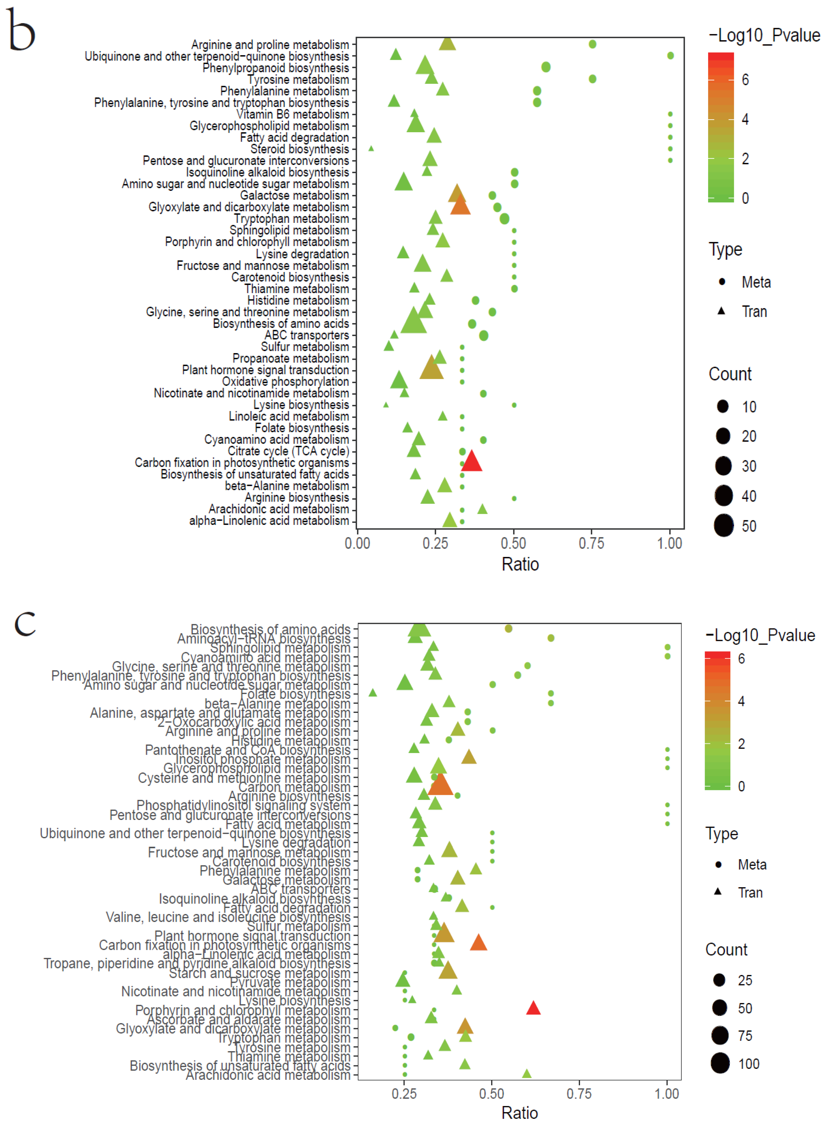 Agronomy 14 00704 g007b