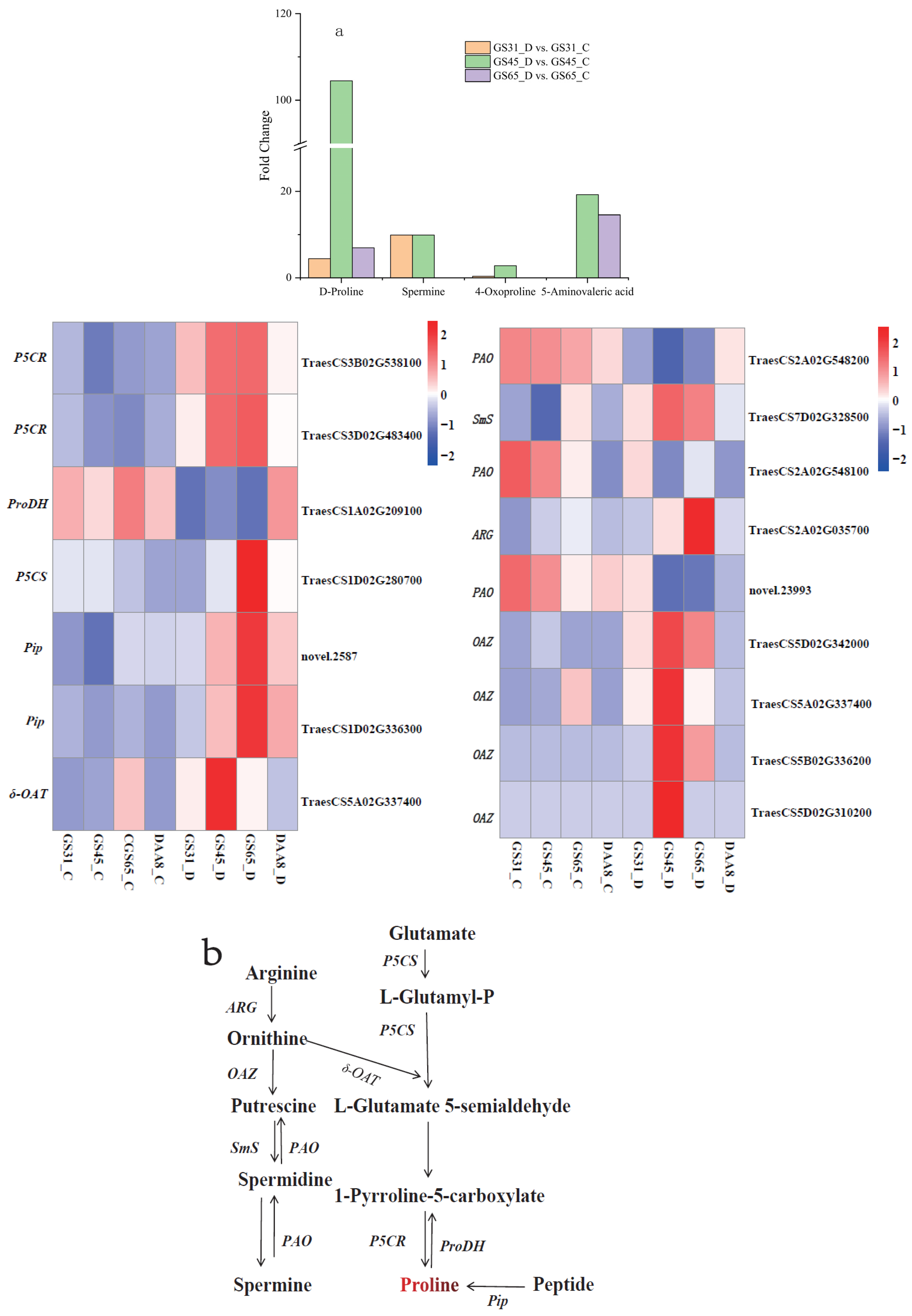 Agronomy 14 00704 g011
