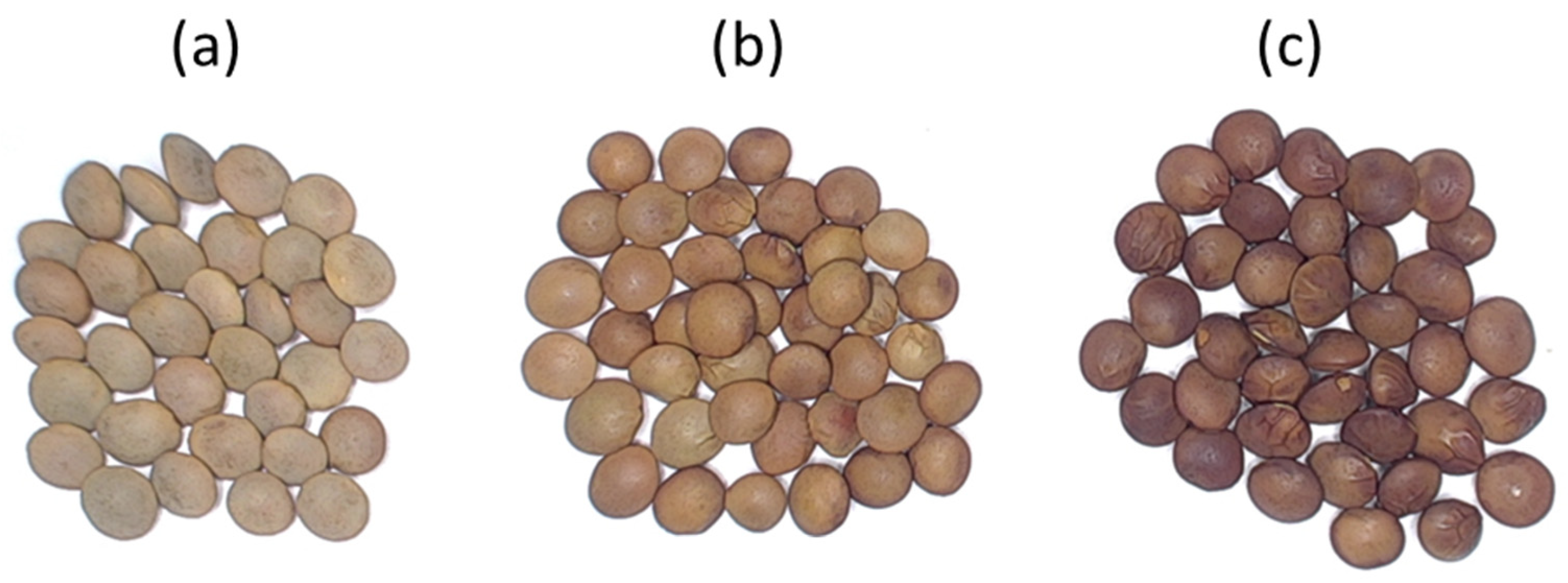 Agronomy 14 00705 g001