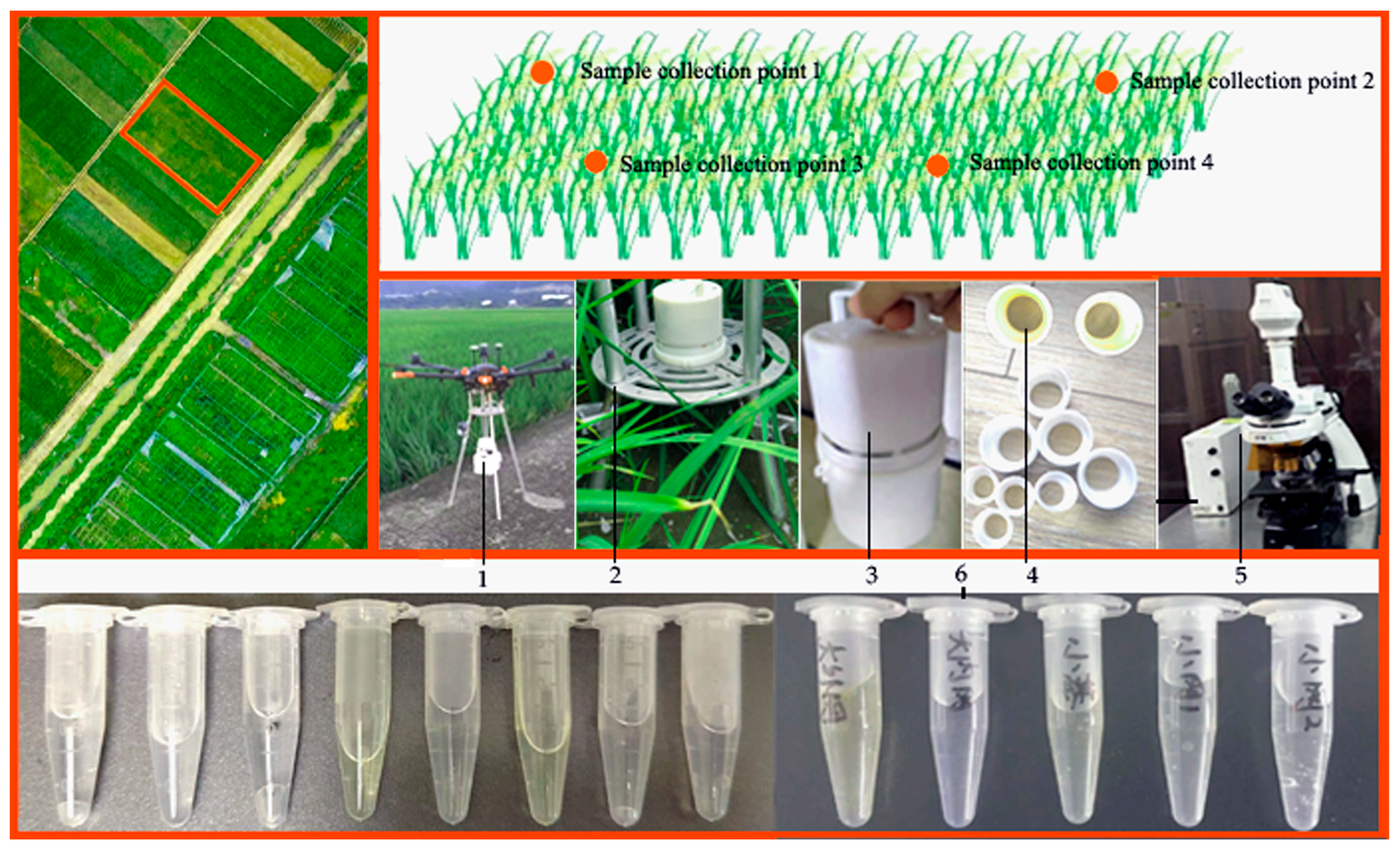Agronomy 14 00716 g010