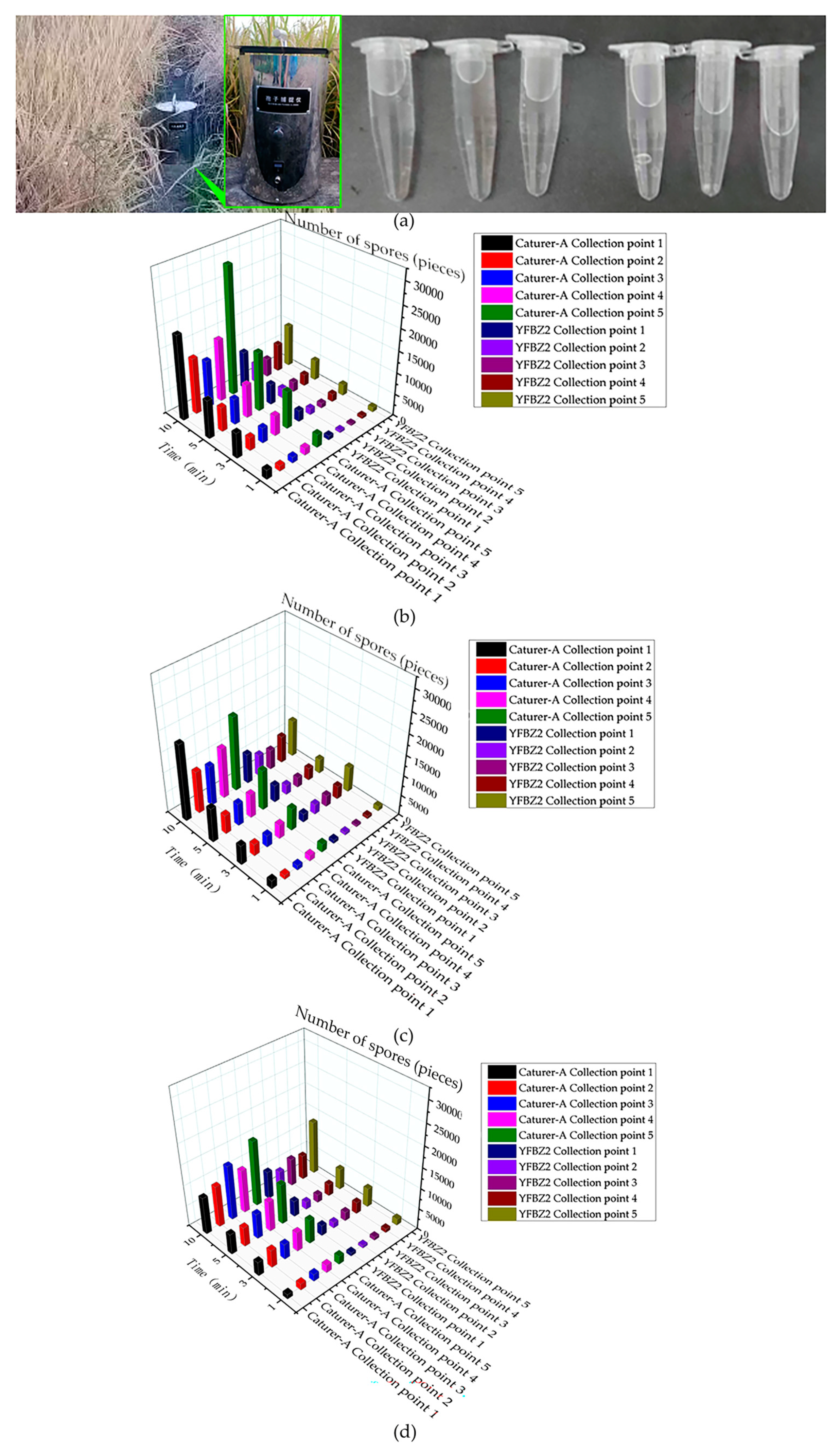 Agronomy 14 00716 g012
