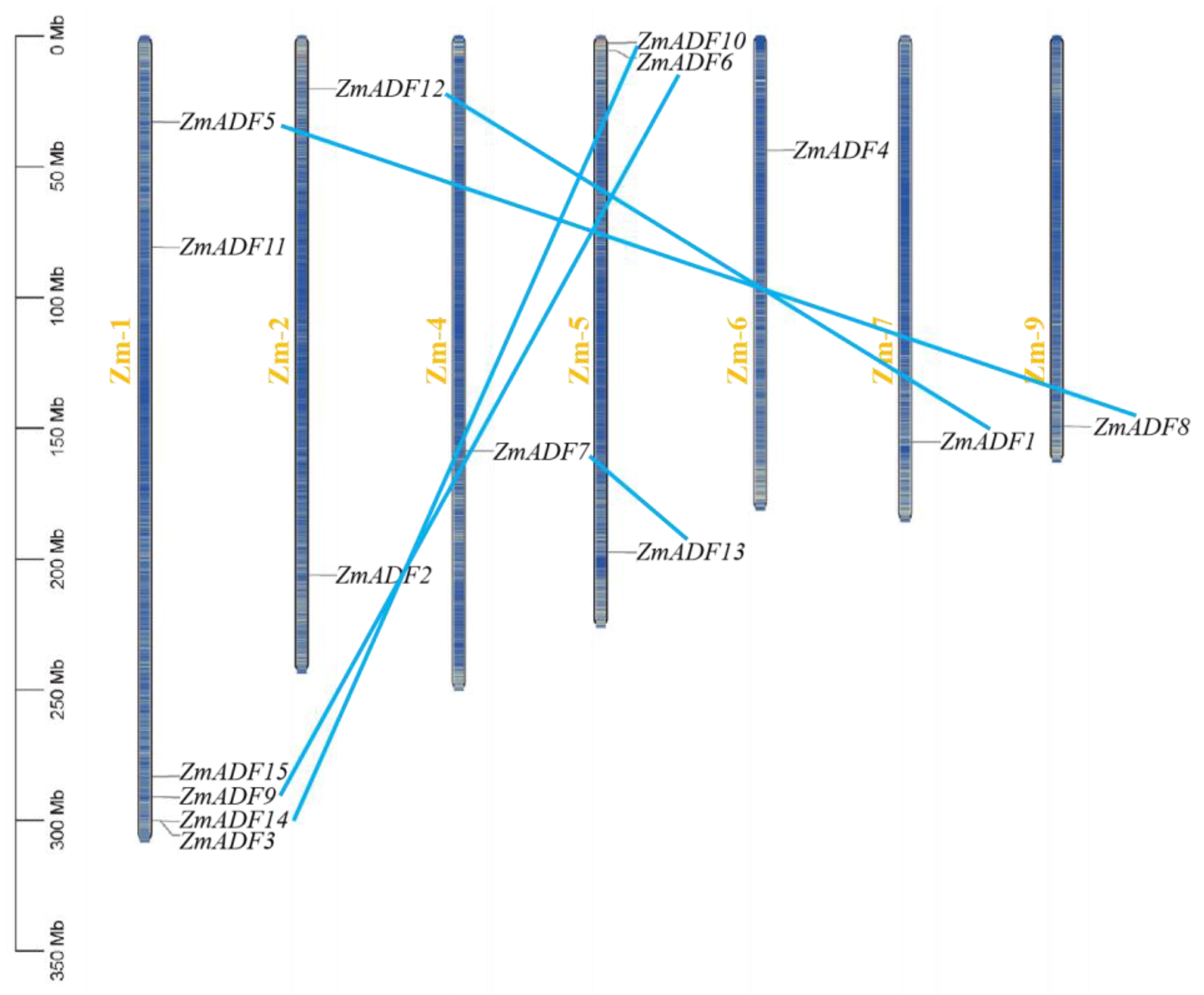 Agronomy 14 00717 g001