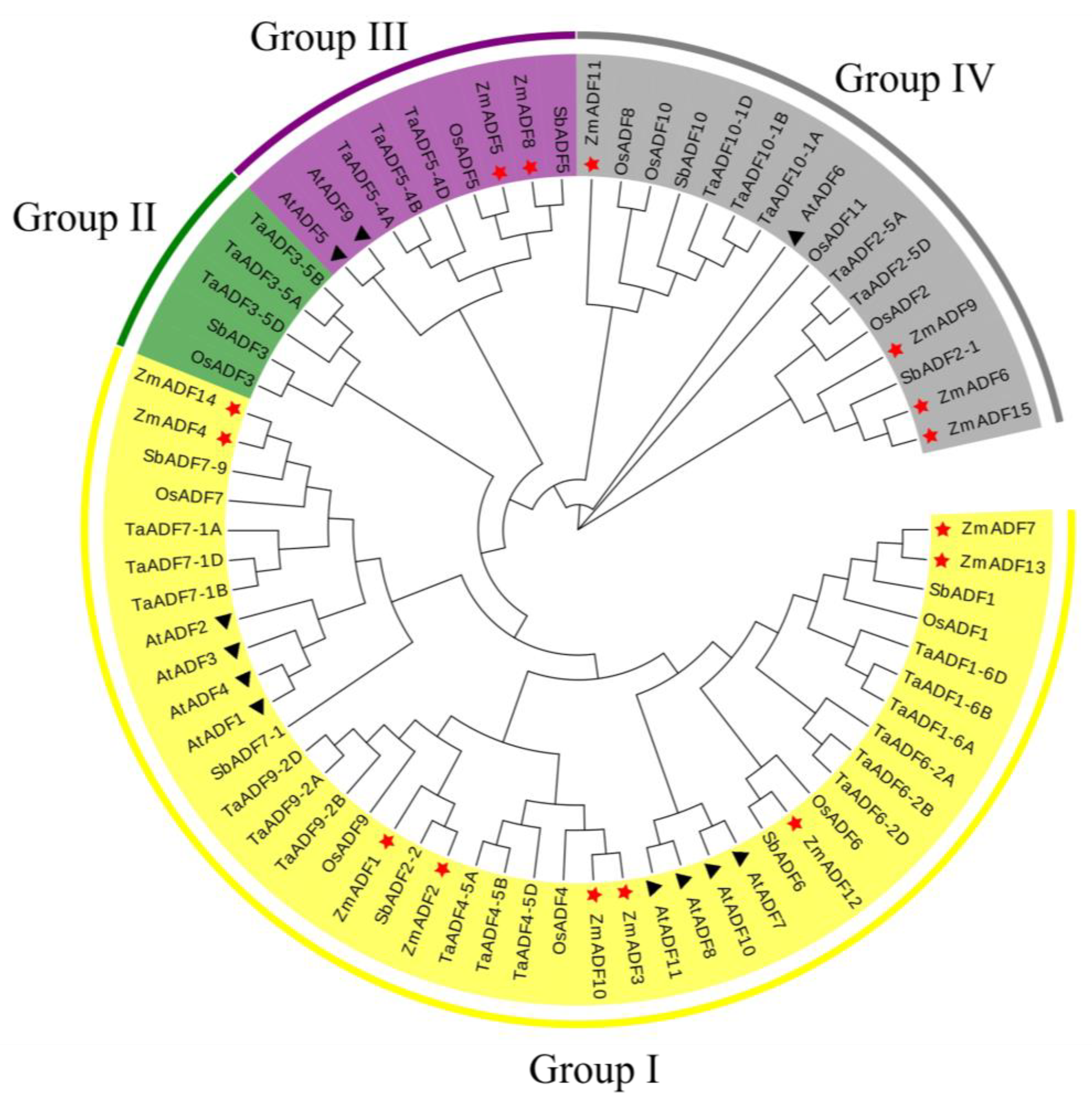 Agronomy 14 00717 g002