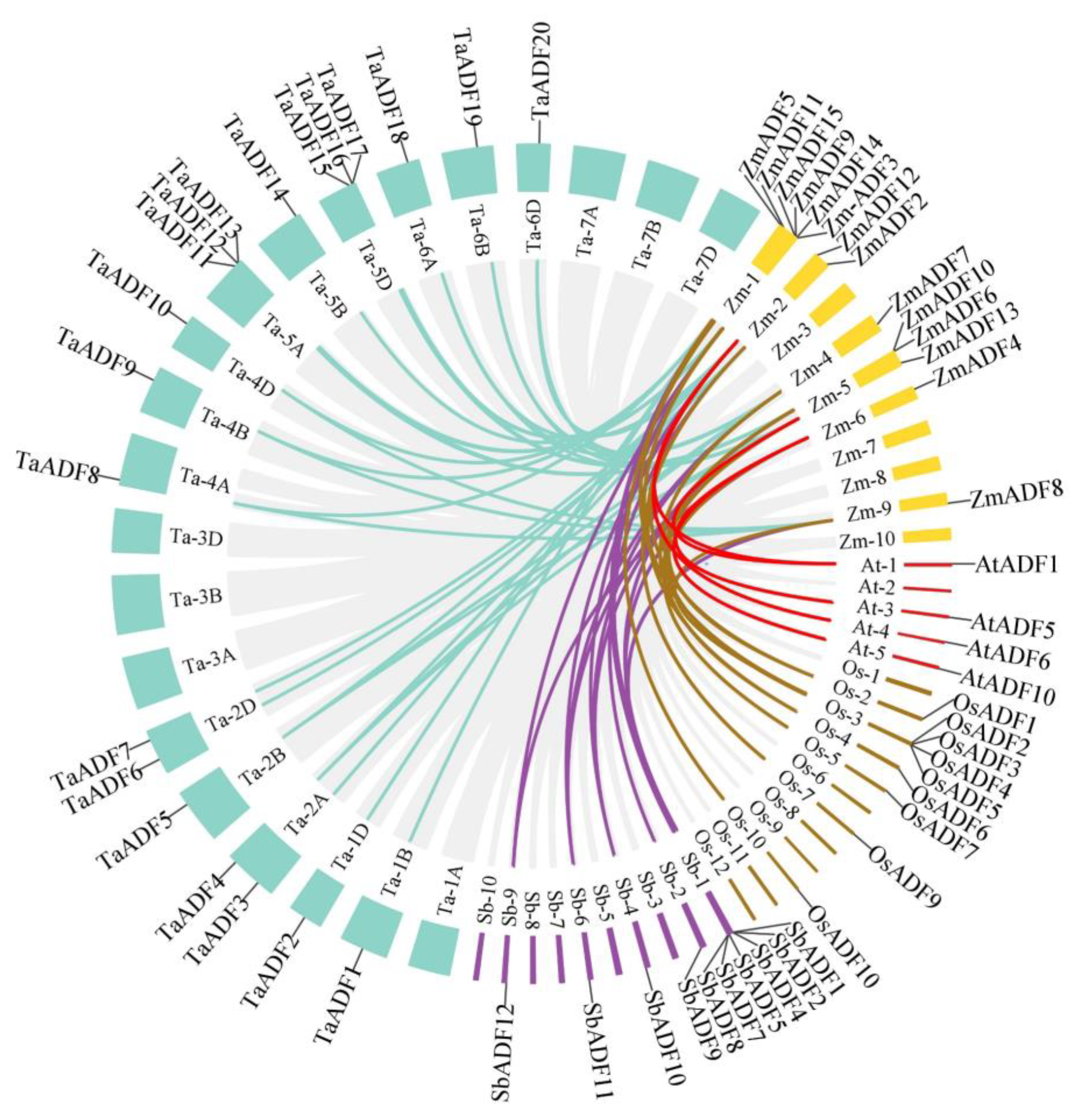 Agronomy 14 00717 g003