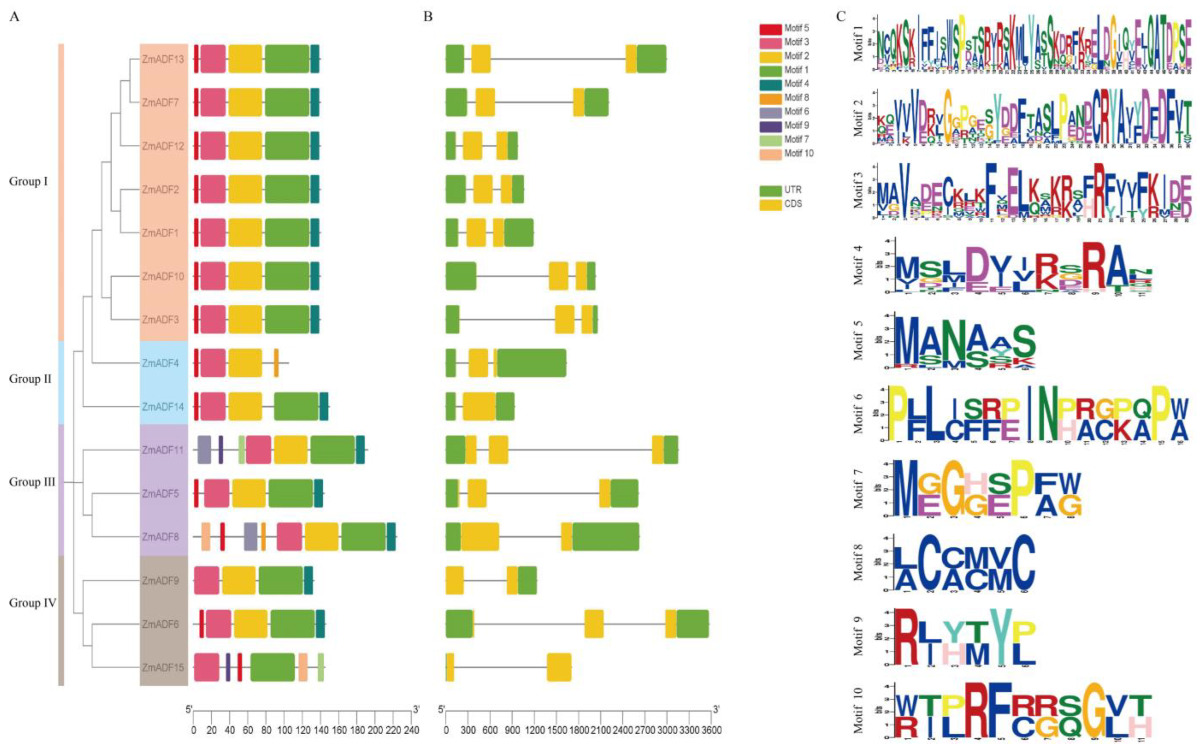 Agronomy 14 00717 g004