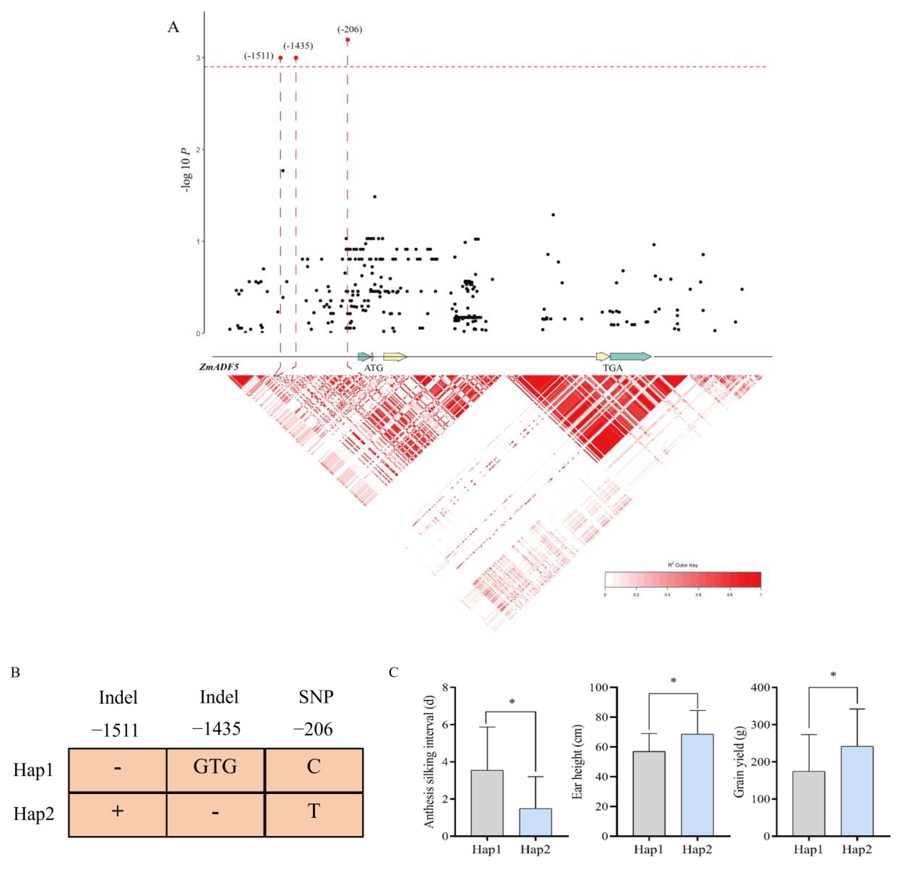 Agronomy 14 00717 g007