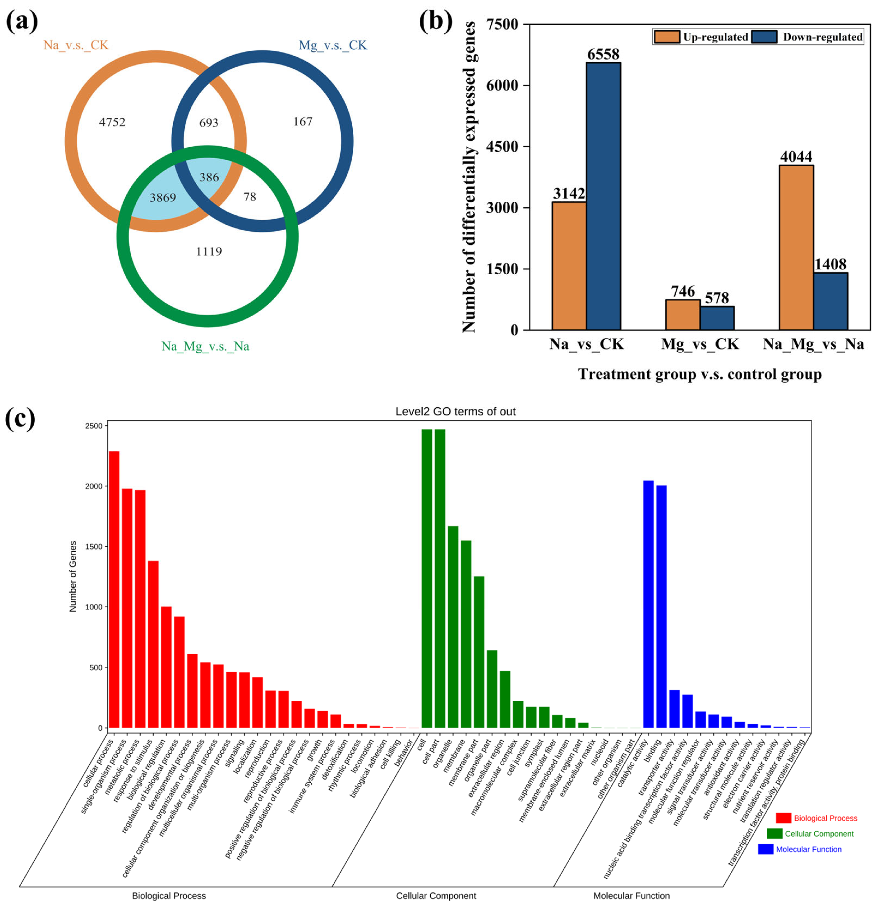 Agronomy 14 00724 g002