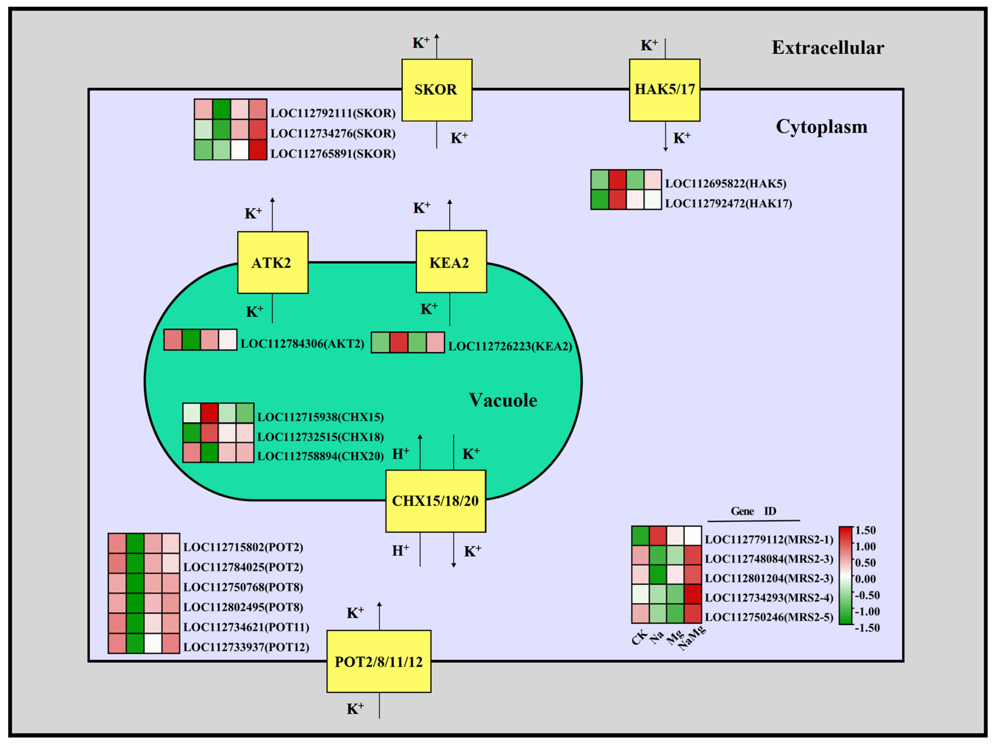 Agronomy 14 00724 g006