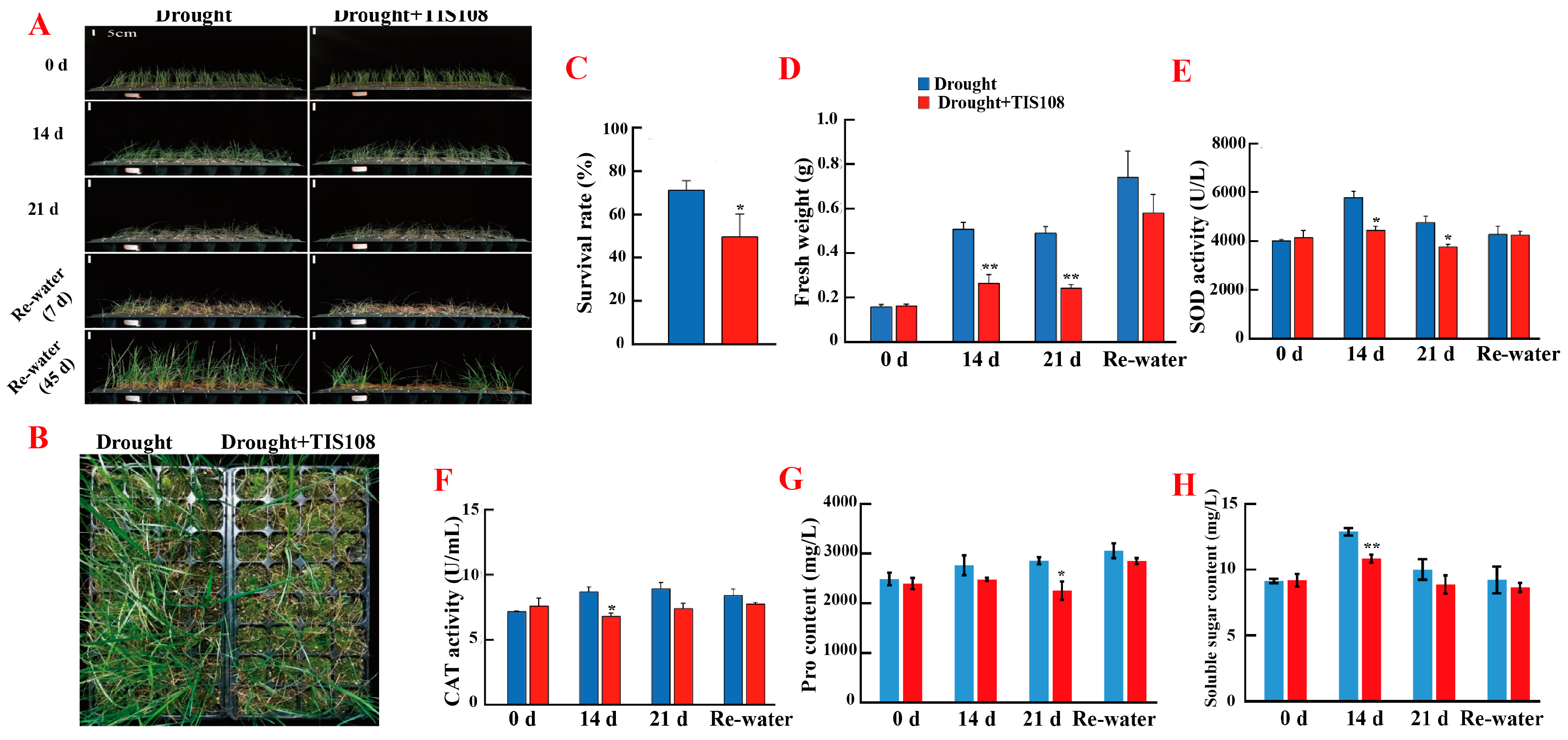 Agronomy 14 00725 g002