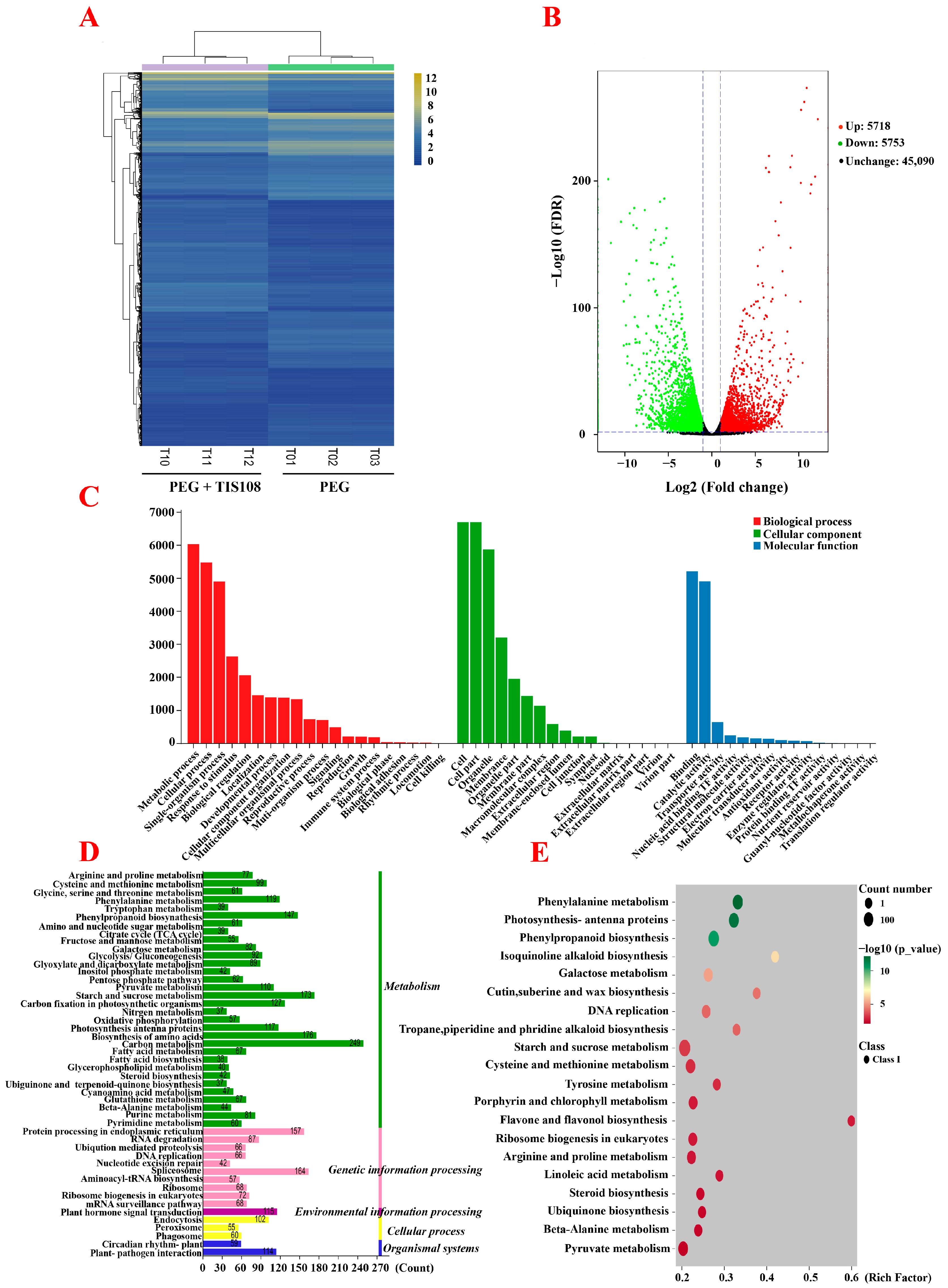 Agronomy 14 00725 g003