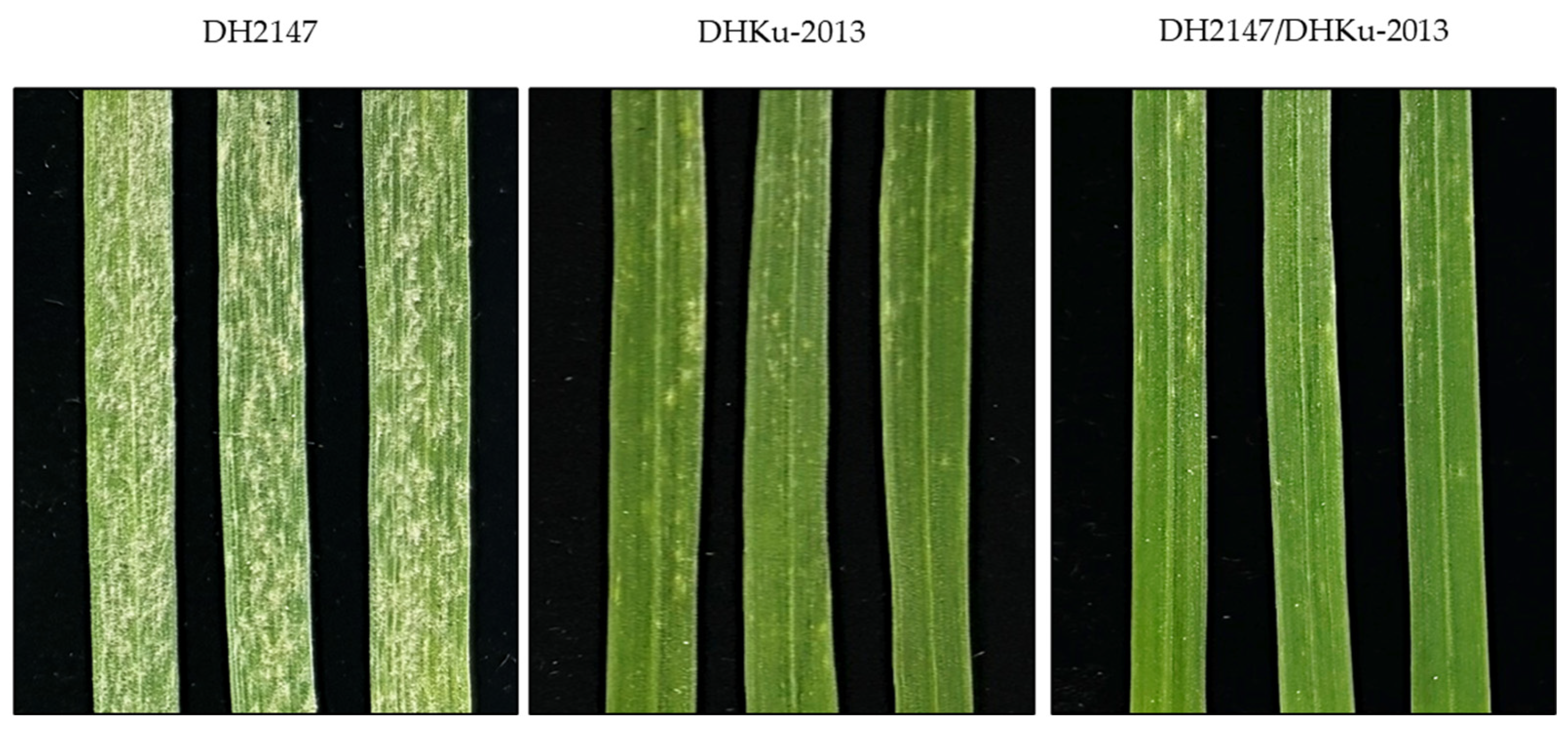 Agronomy 14 00744 g001