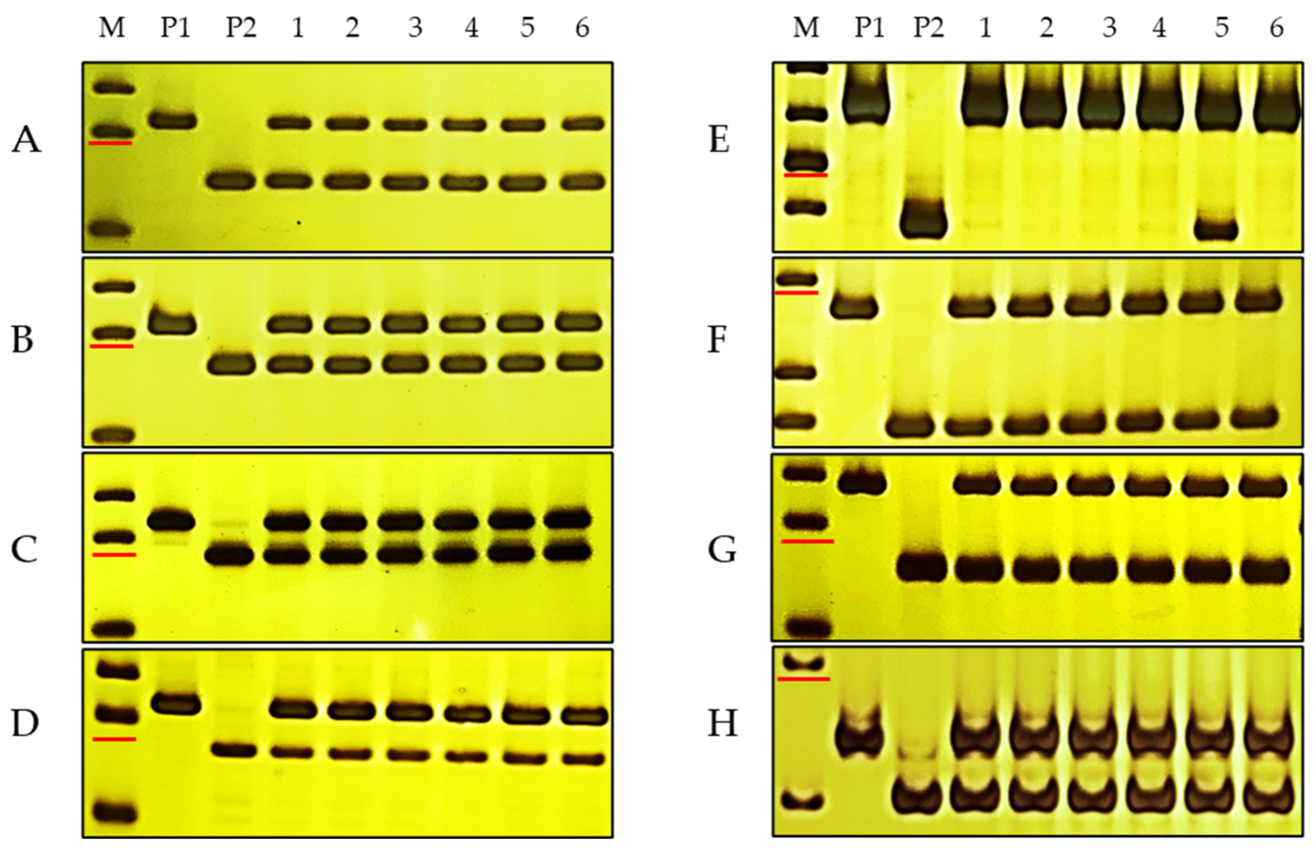 Agronomy 14 00744 g002