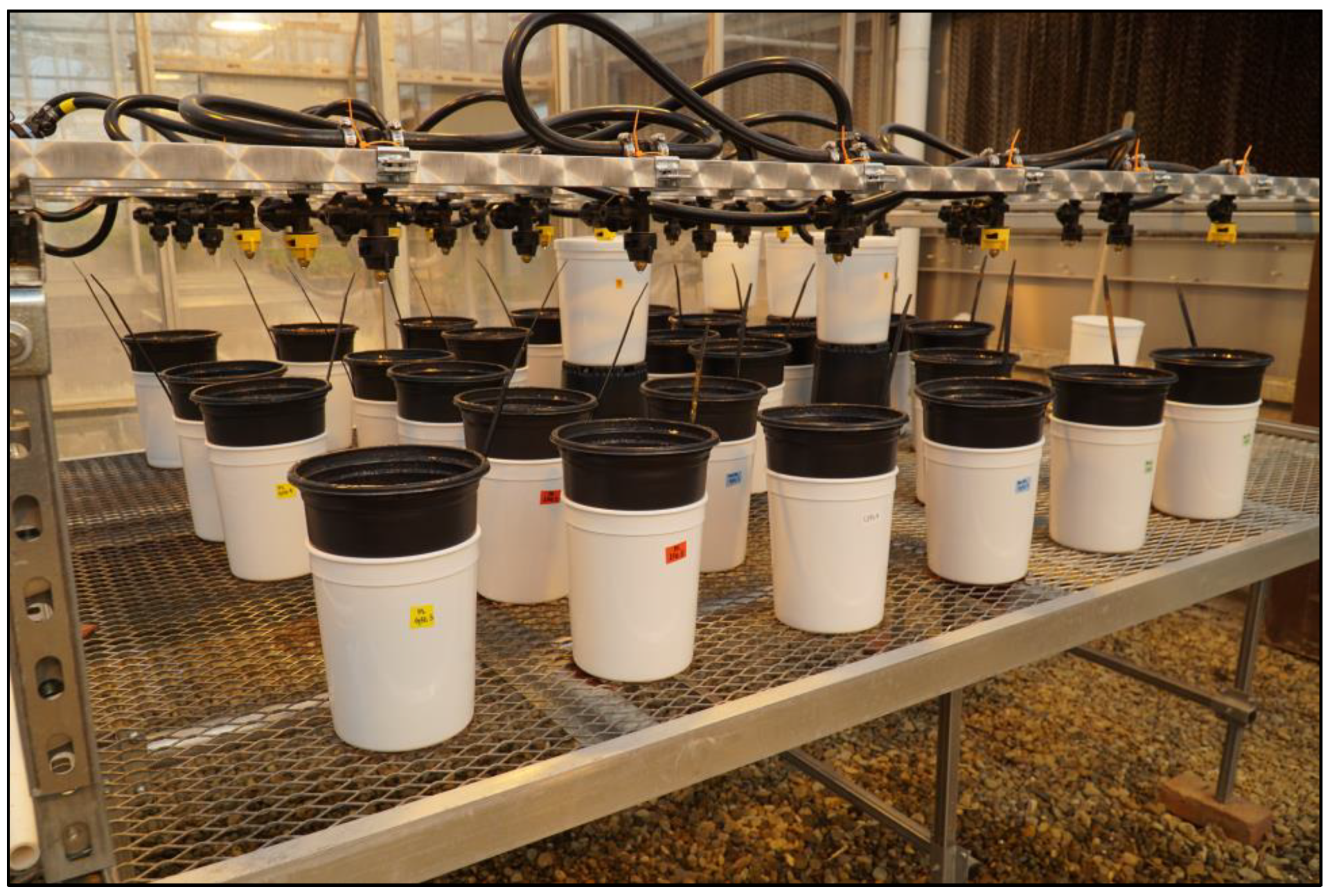 Agronomy 14 00757 g002