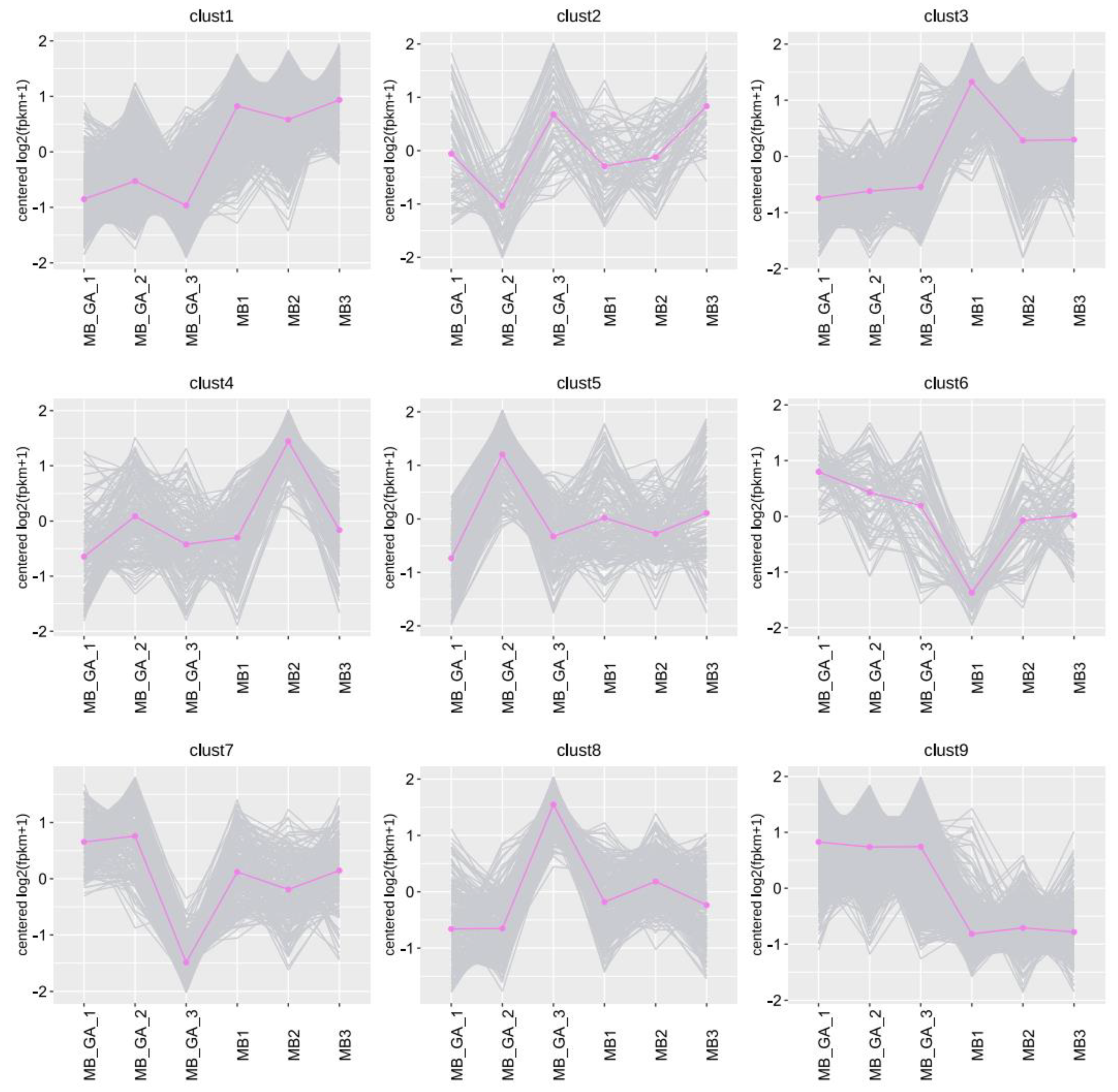 Agronomy 14 00762 g004
