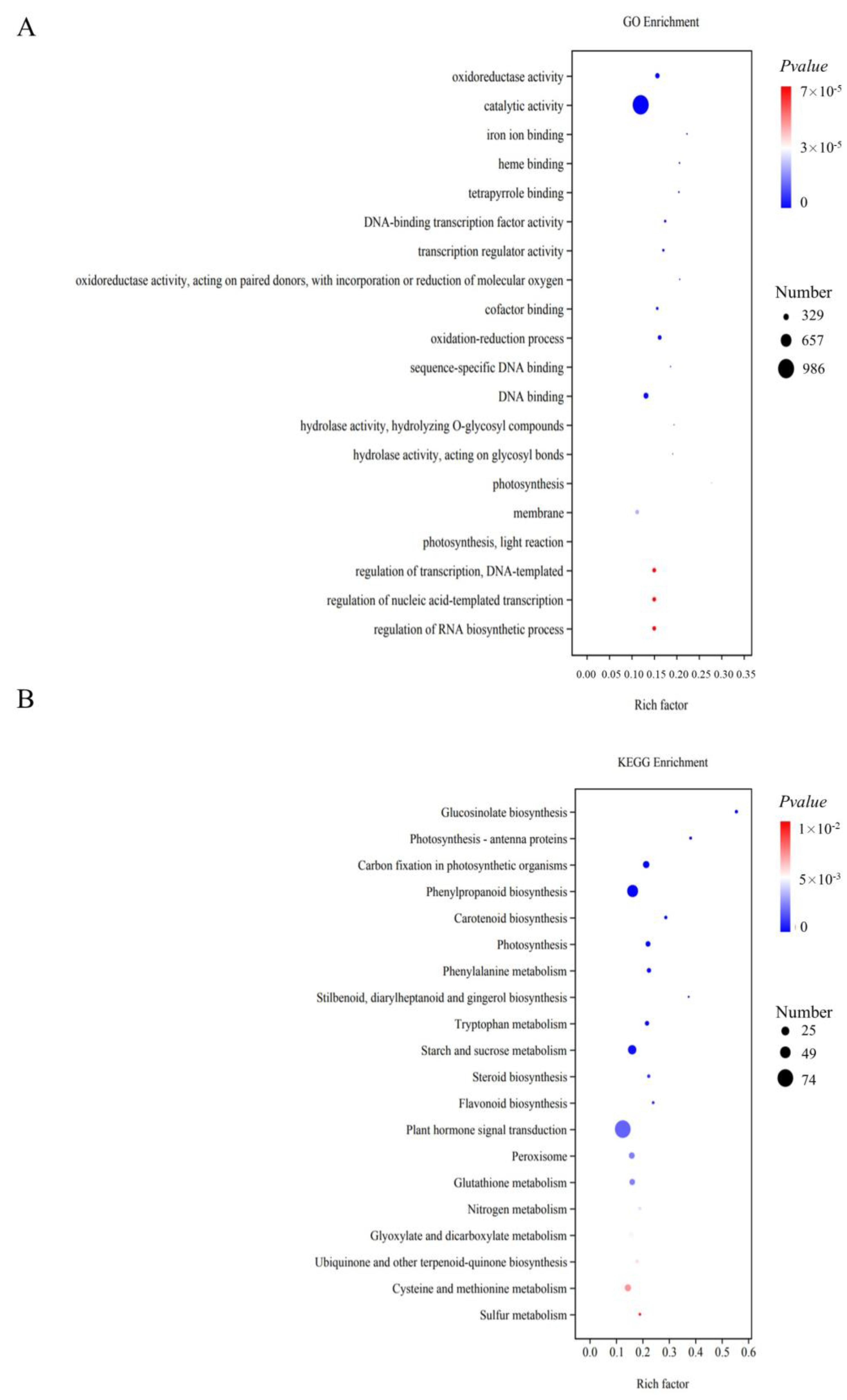 Agronomy 14 00762 g005
