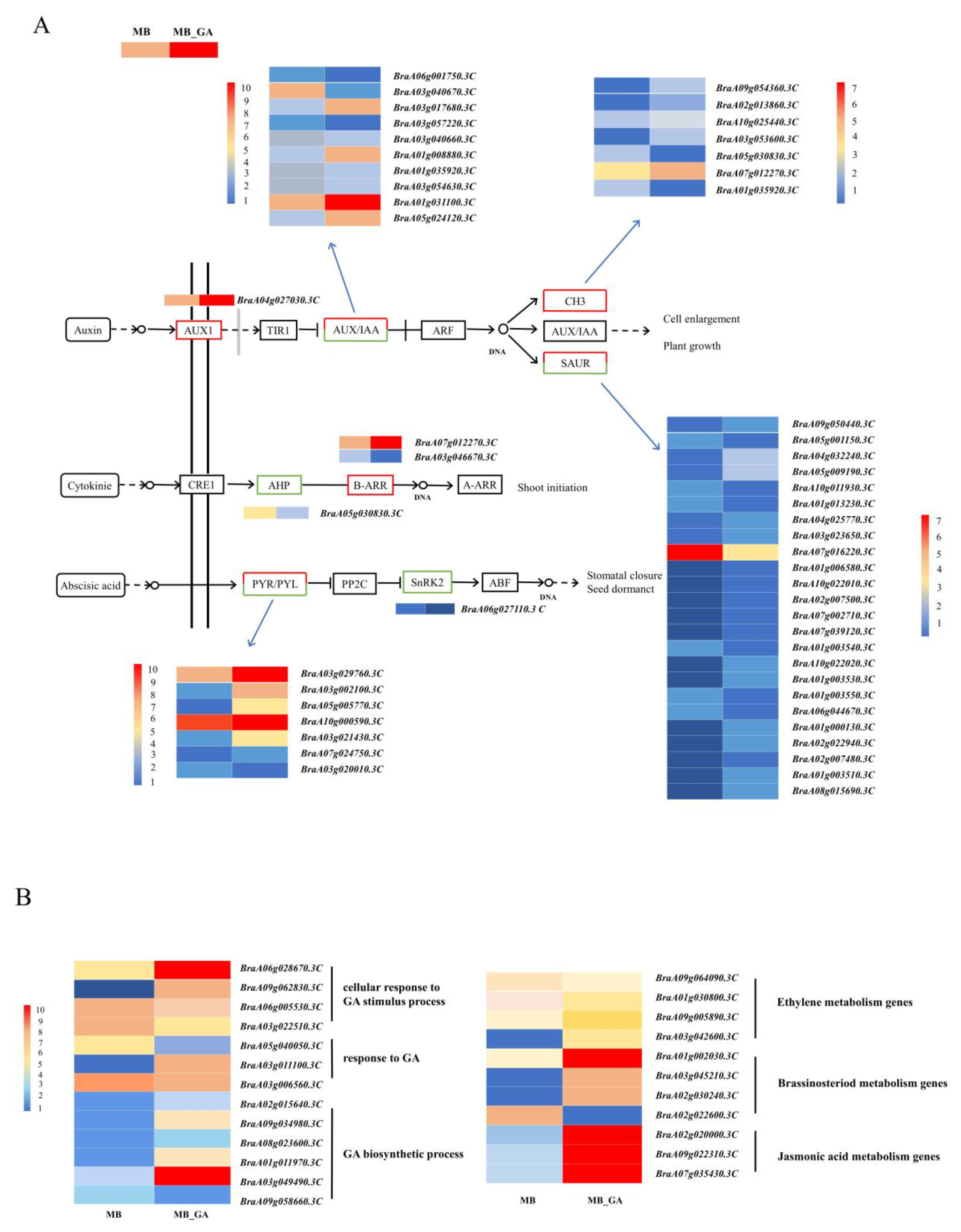 Agronomy 14 00762 g006