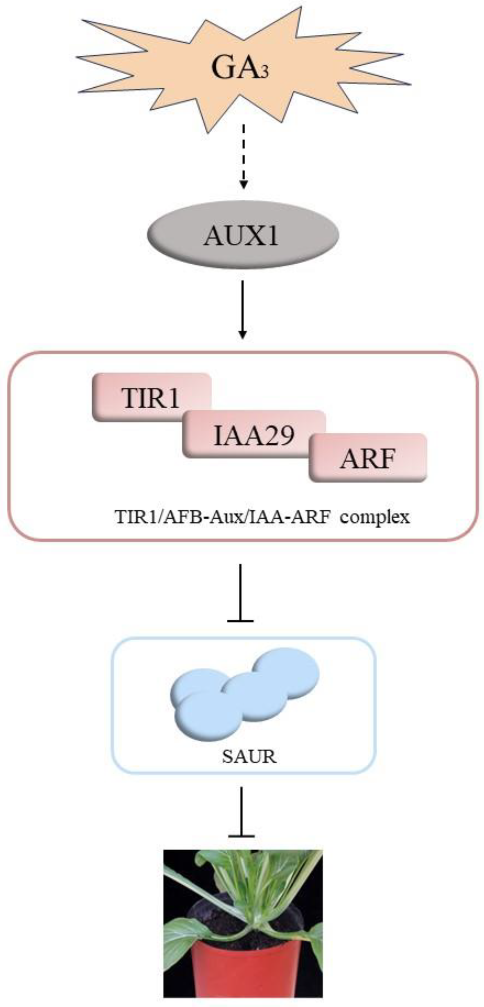 Agronomy 14 00762 g009