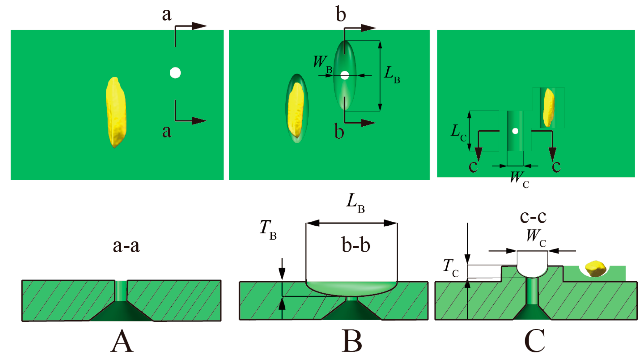 Agronomy 14 00768 g003