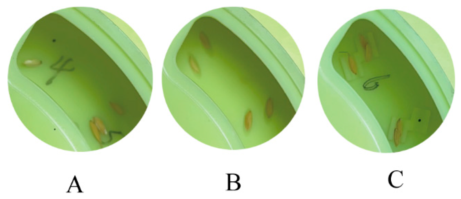 Agronomy 14 00768 g007