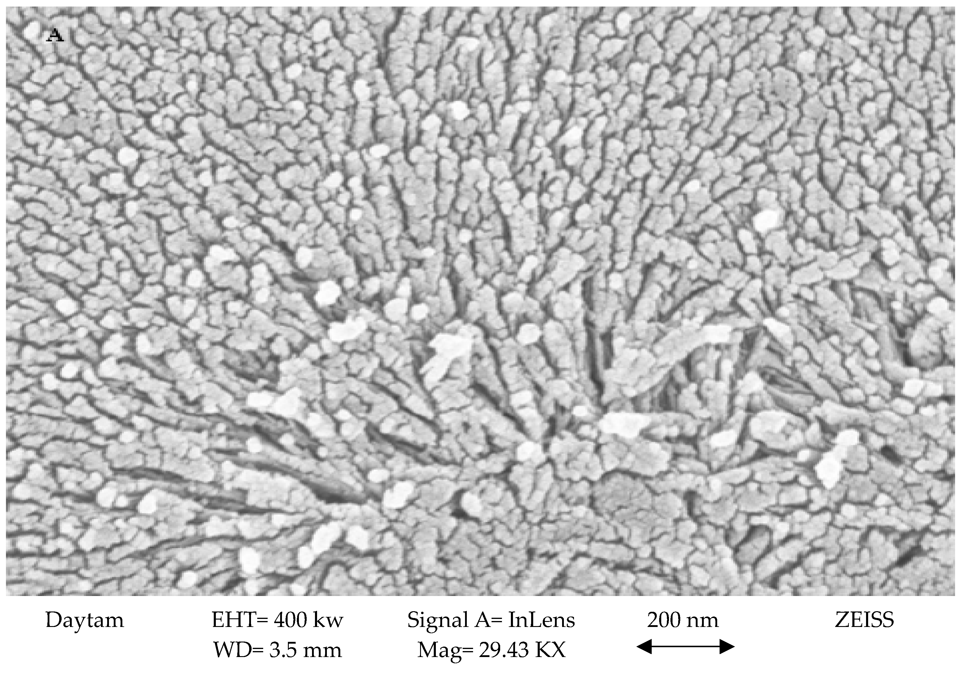 Agronomy 14 00770 g001a