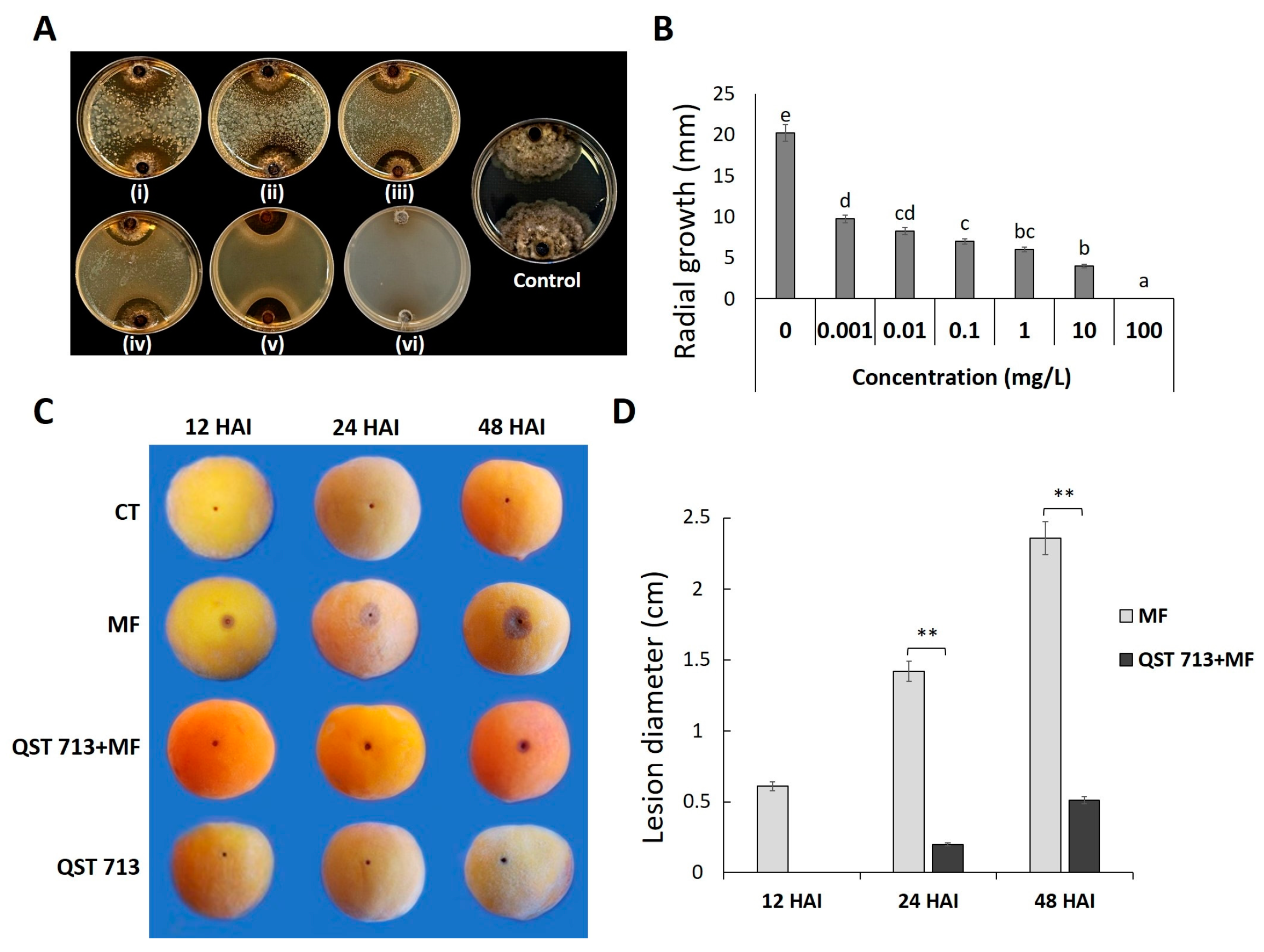 Agronomy 14 00771 g001