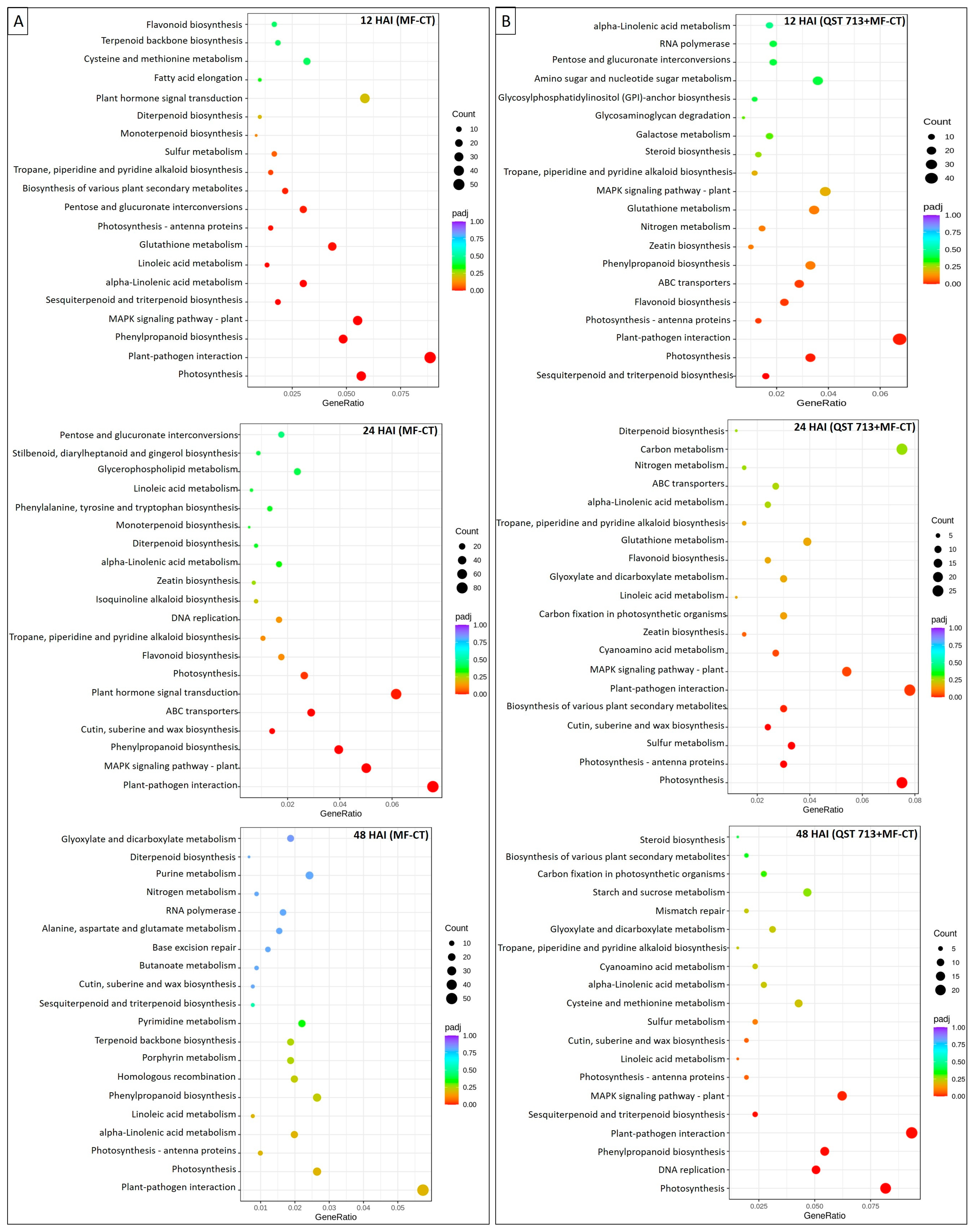 Agronomy 14 00771 g004
