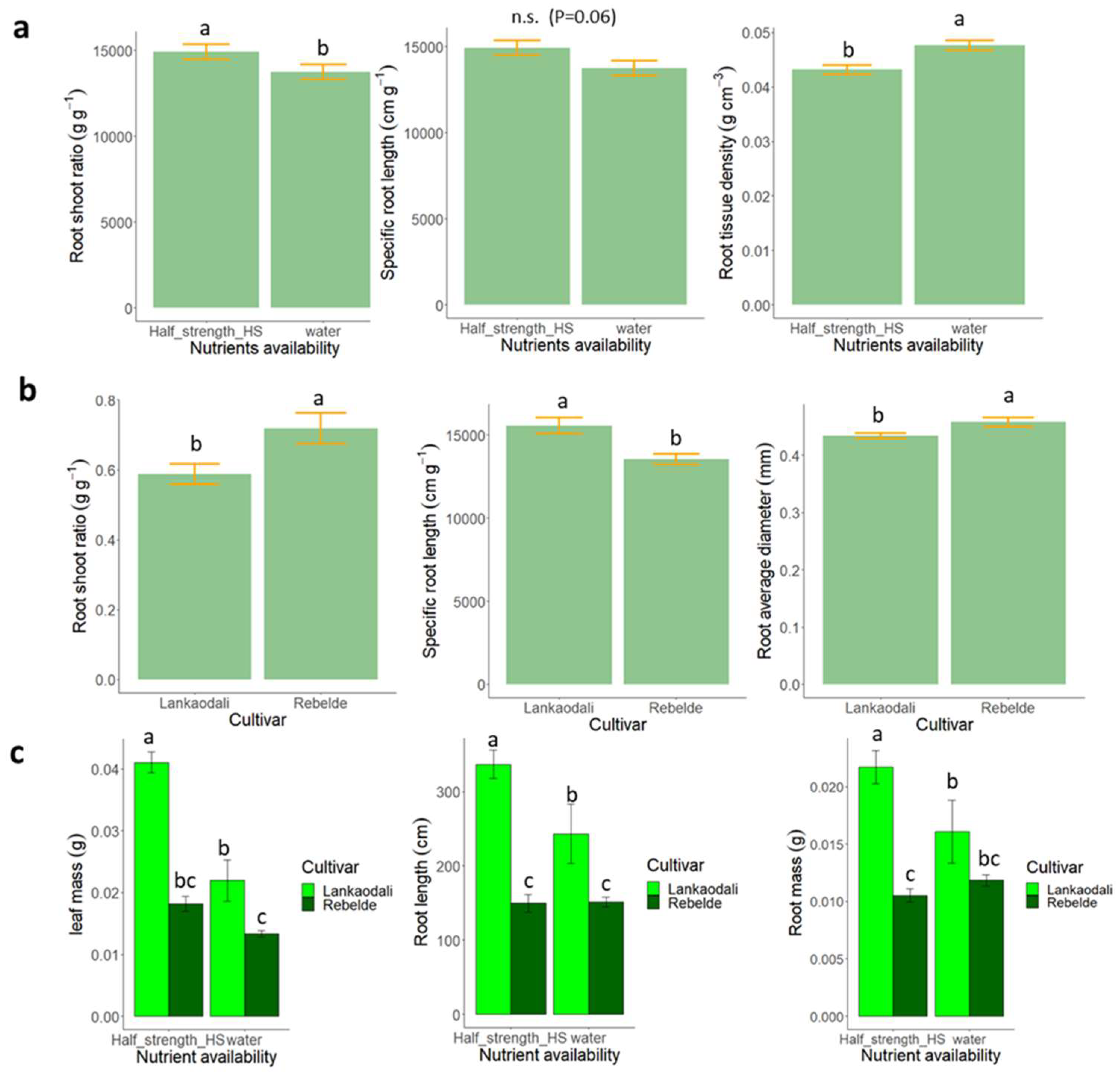 Agronomy 14 00775 g001