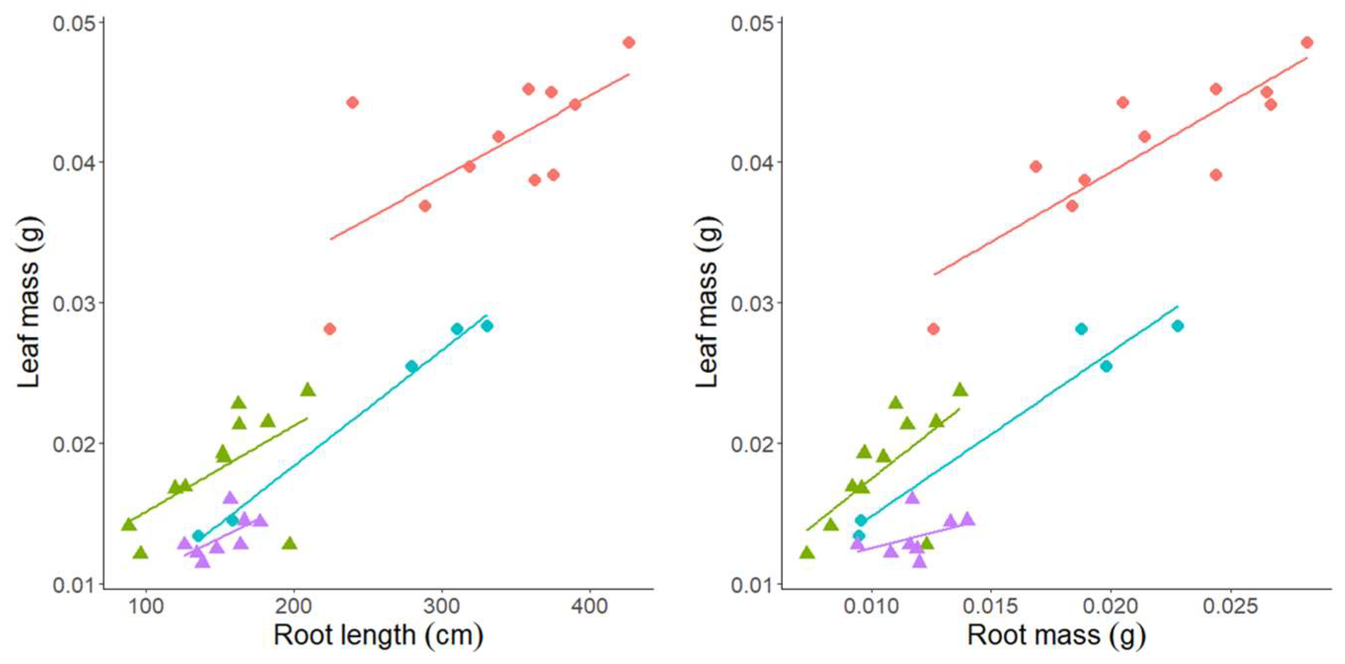 Agronomy 14 00775 g002
