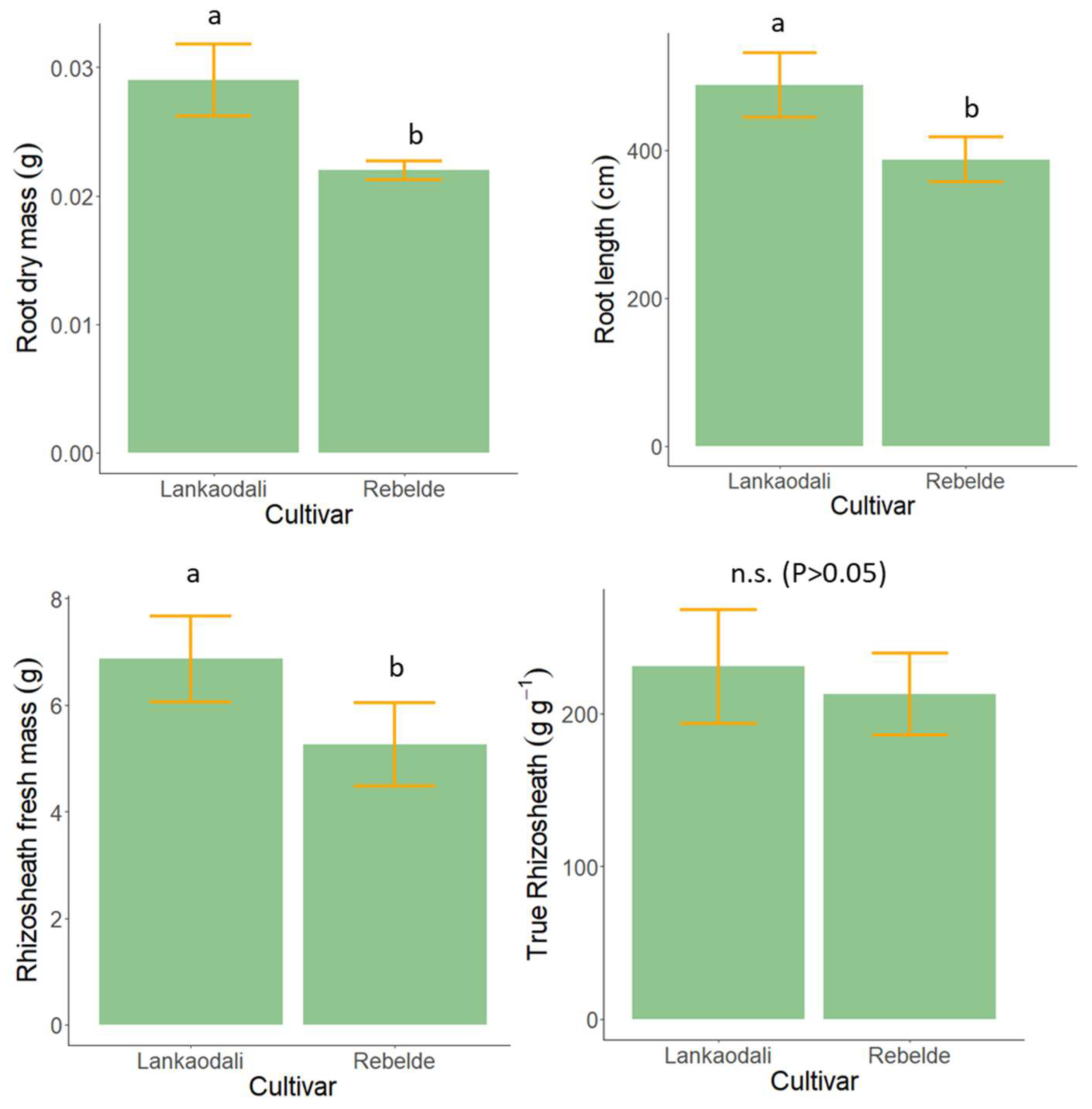 Agronomy 14 00775 g005