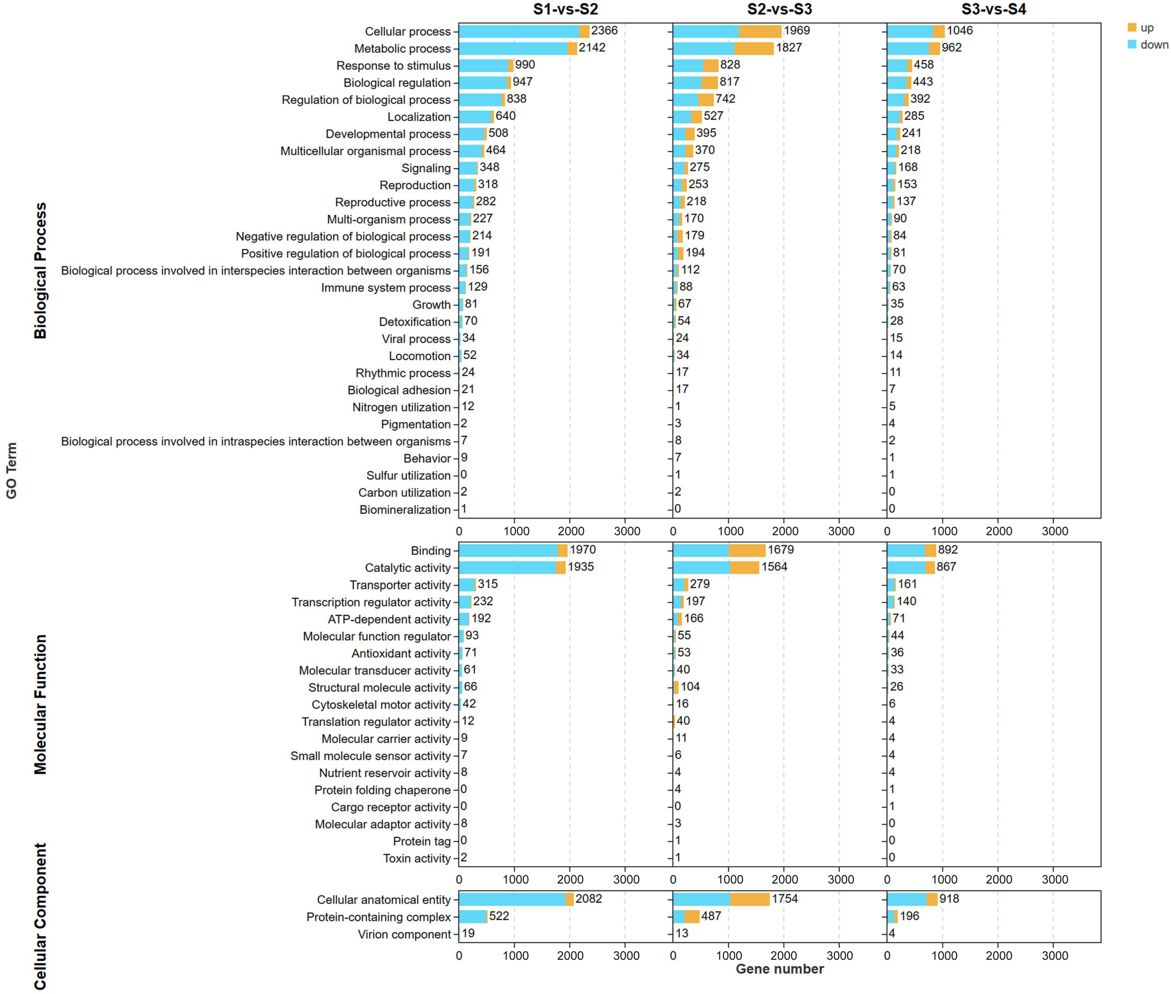 Agronomy 14 00787 g006