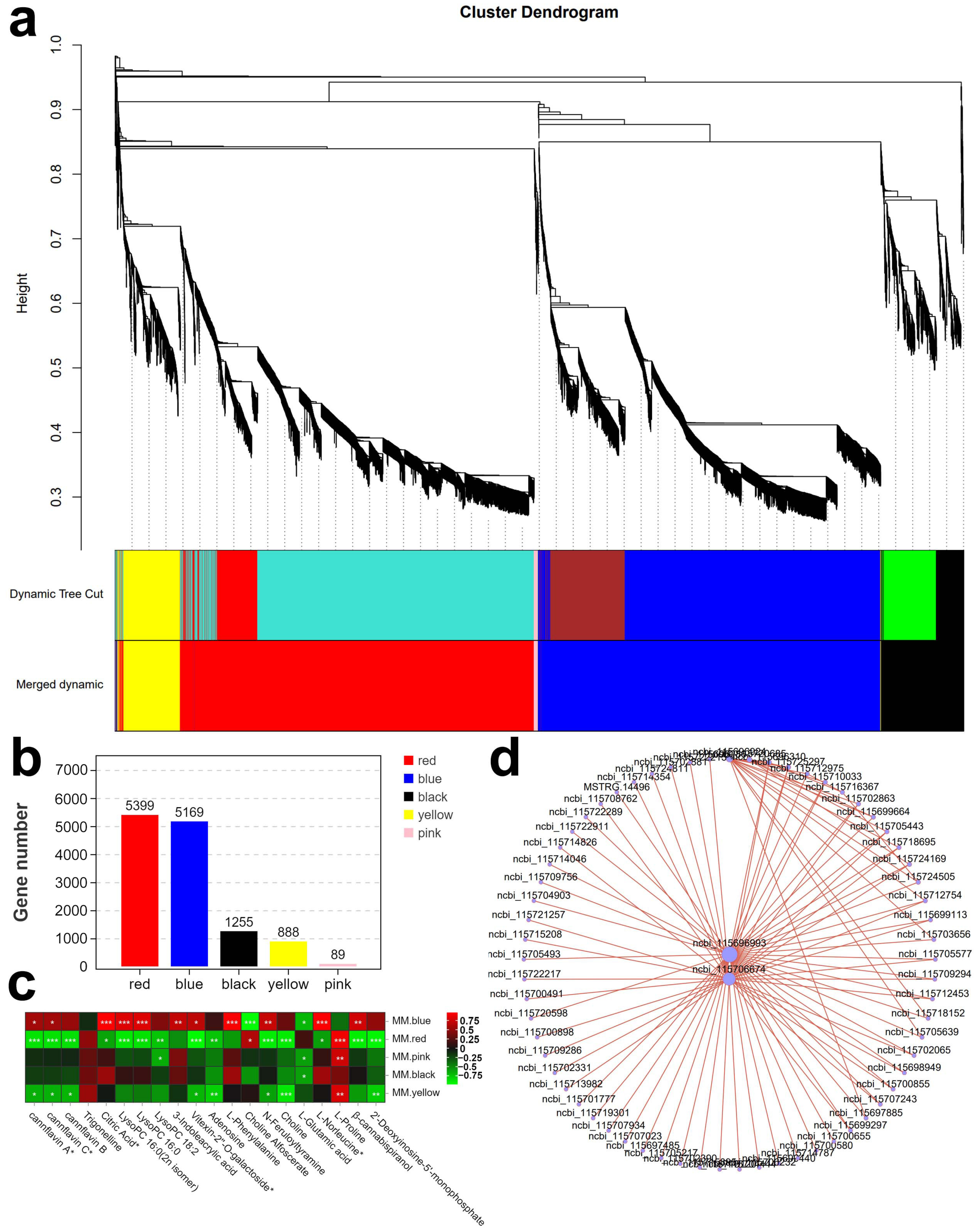 Agronomy 14 00787 g008