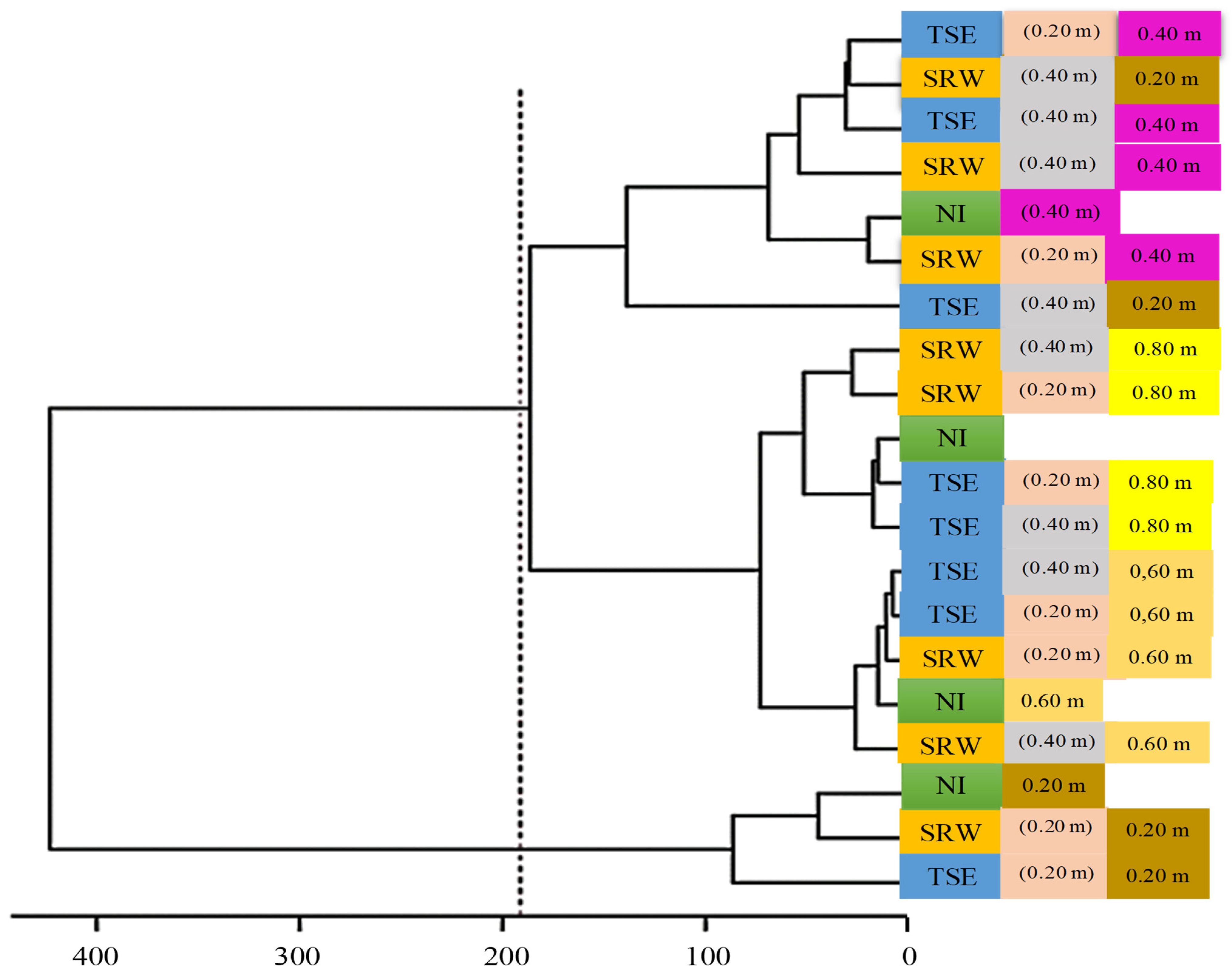 Agronomy 14 00788 g006