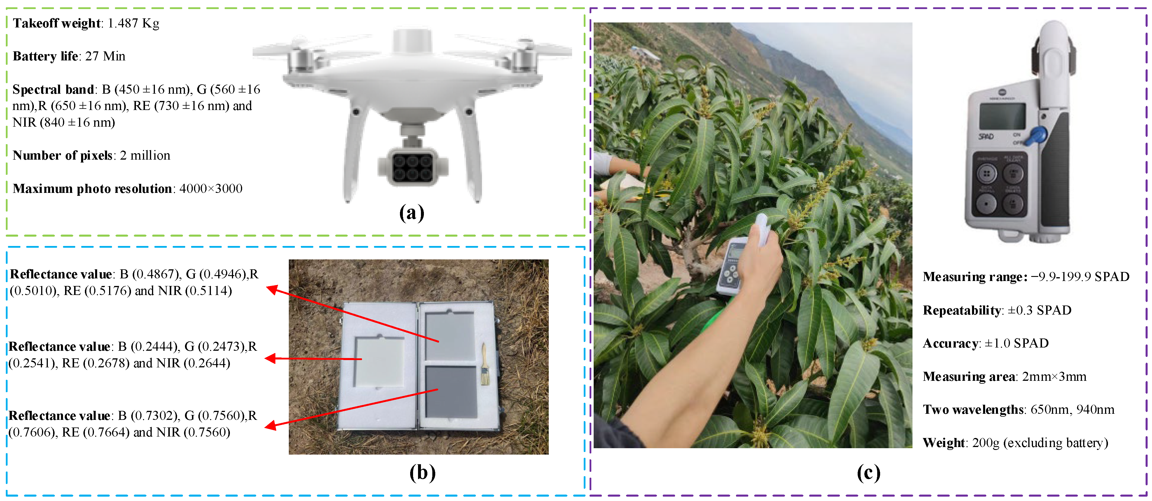 Agronomy 14 00795 g002