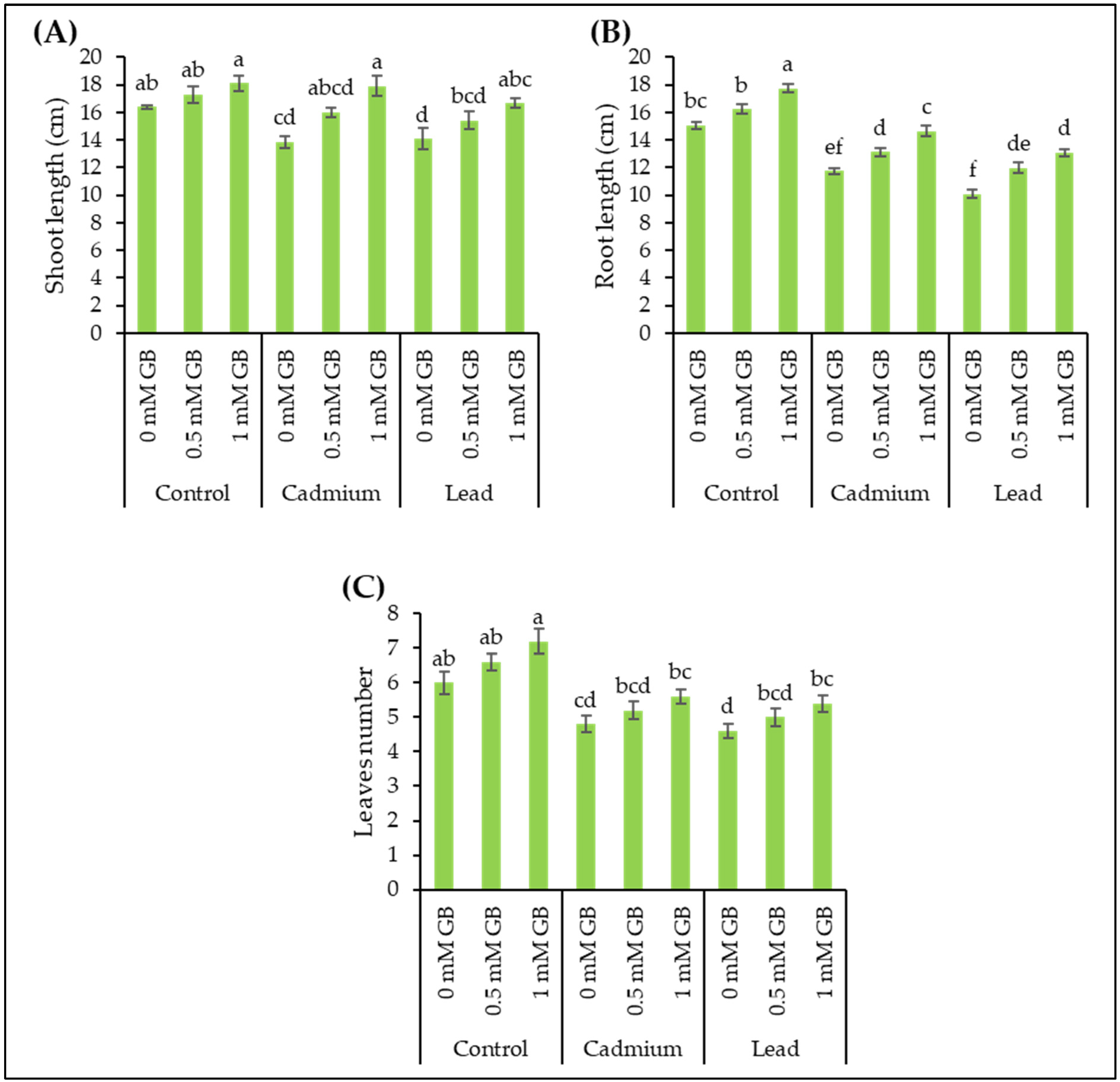 Agronomy 14 00797 g001