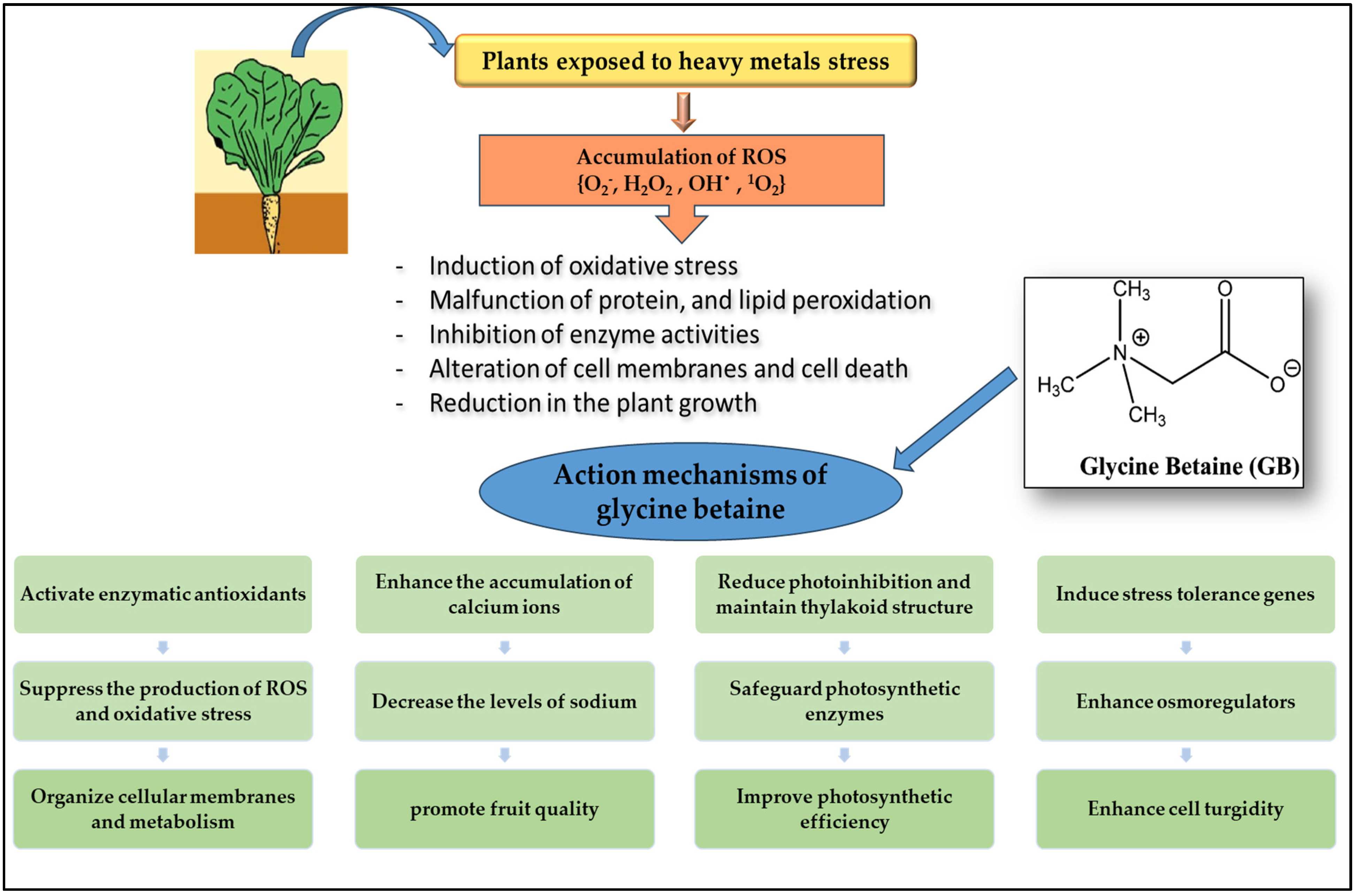 Agronomy 14 00797 g010